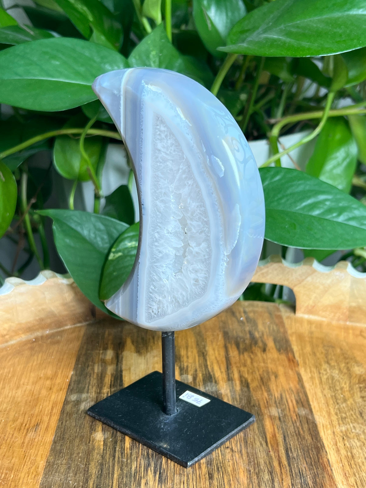 Brazilian Druzy Agate Moon: Bi