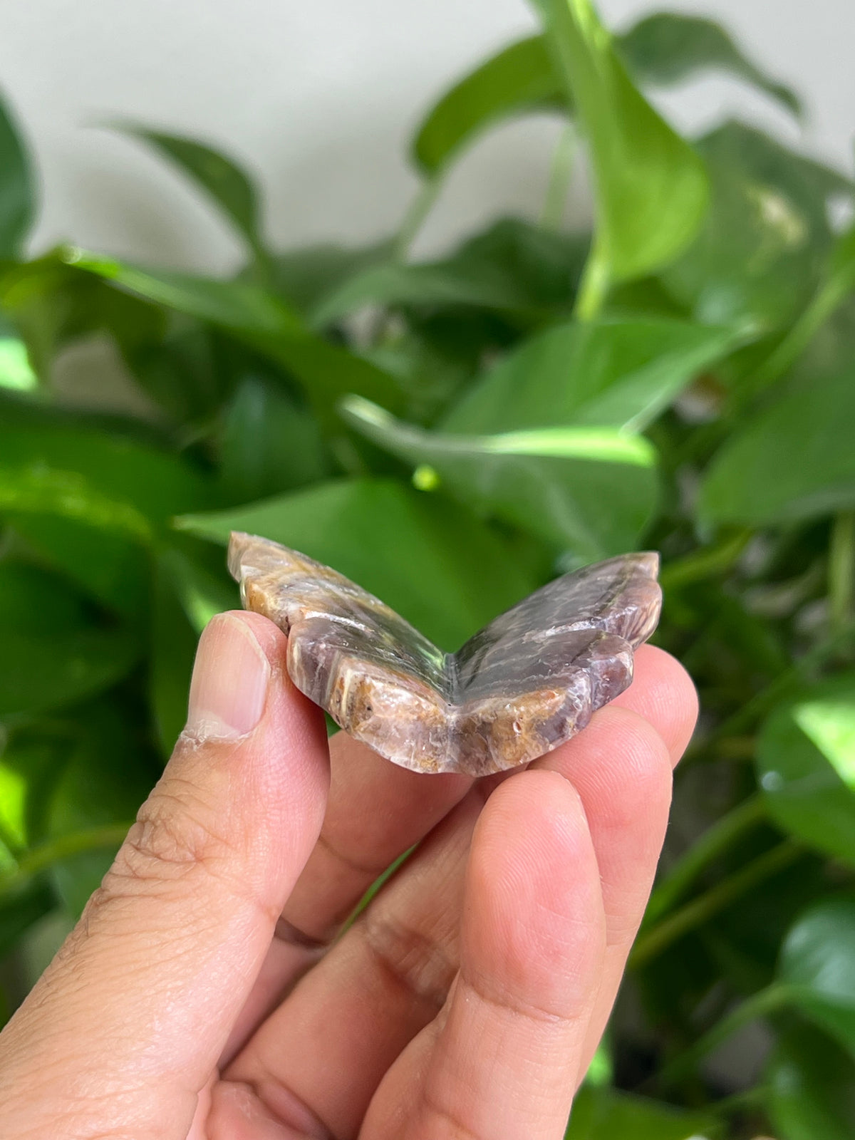 Indonesian Amethyst 3D Butterfly: D