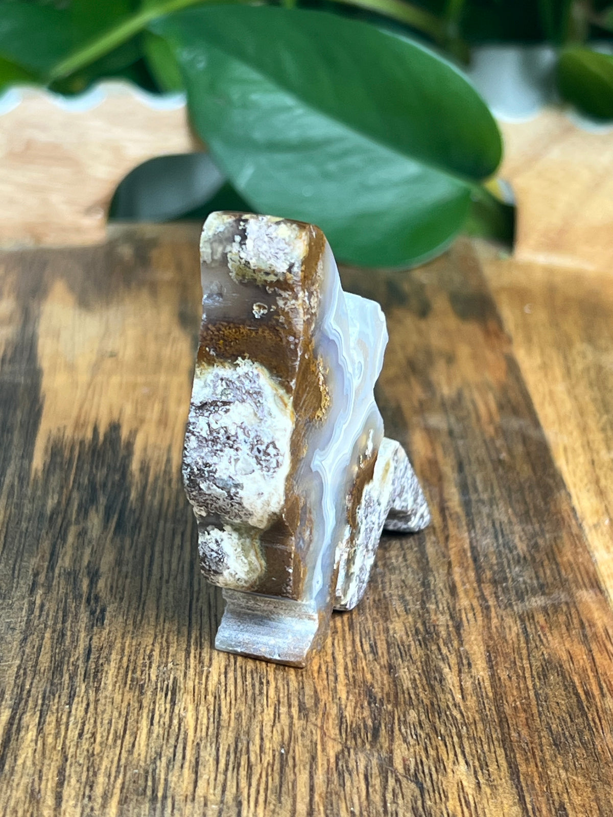 Scenic Moss Agate Pixie Fairy: M