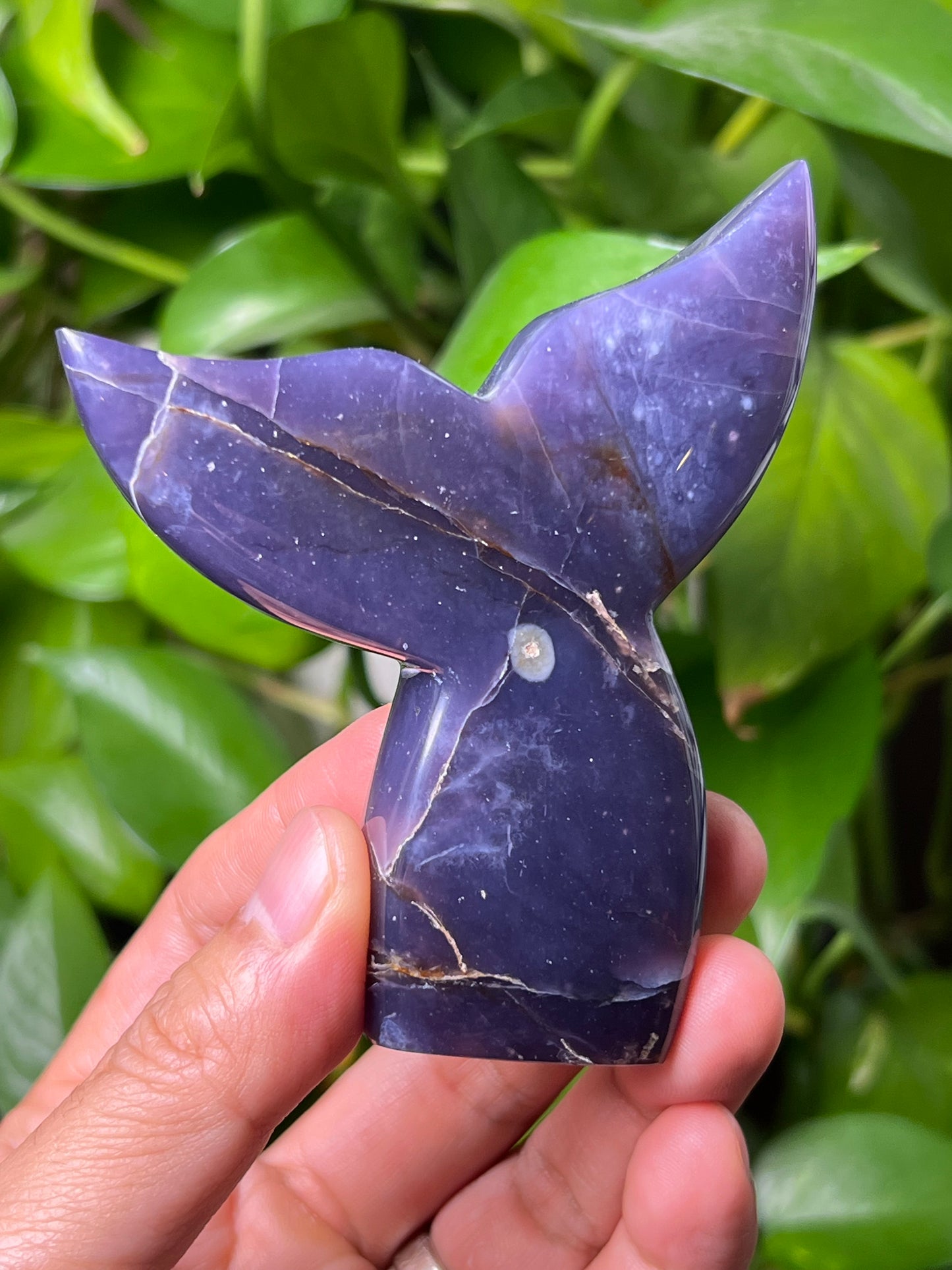 Purple Chalcedony Tail