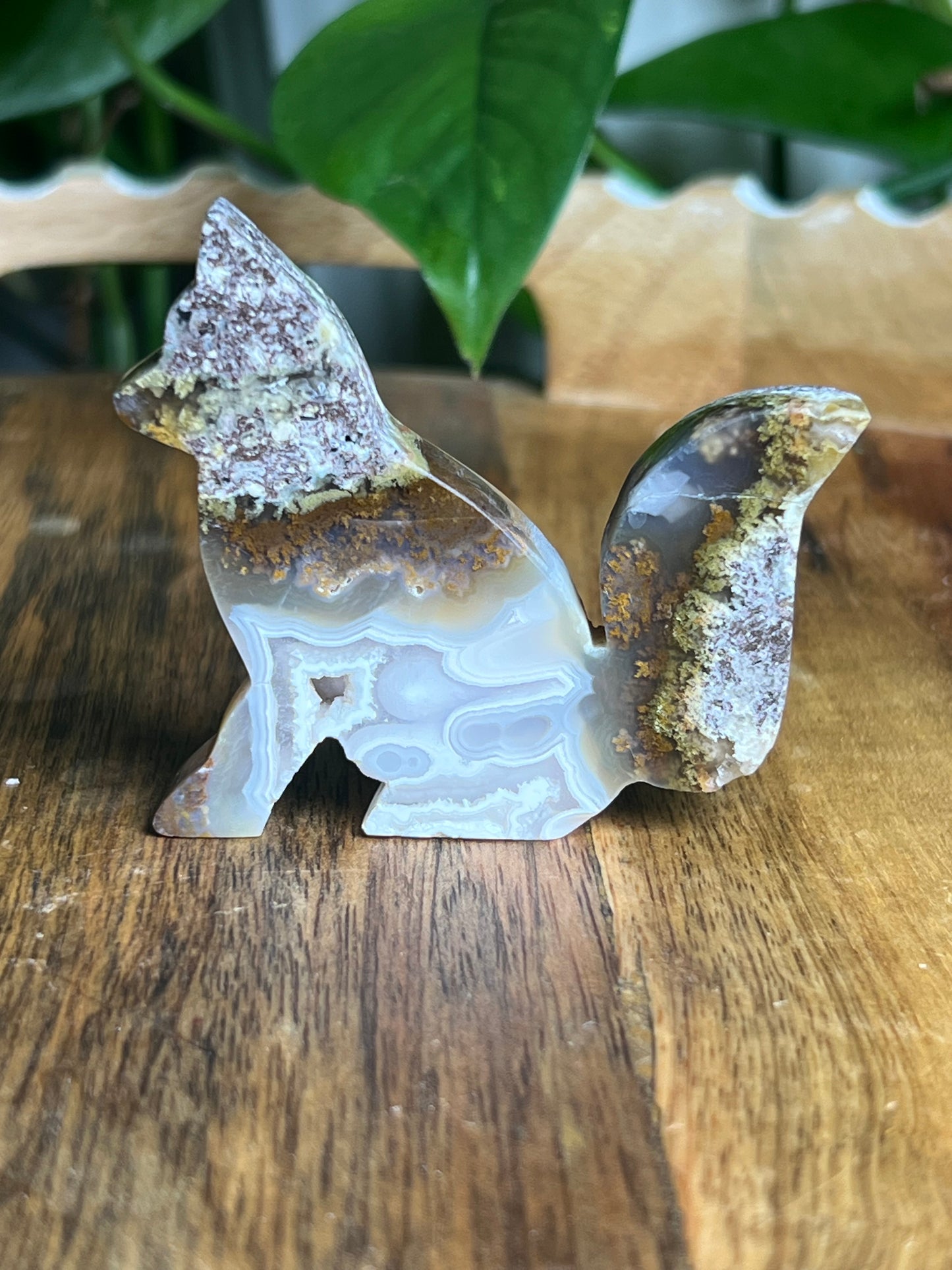 Scenic Moss Agate Fox PX