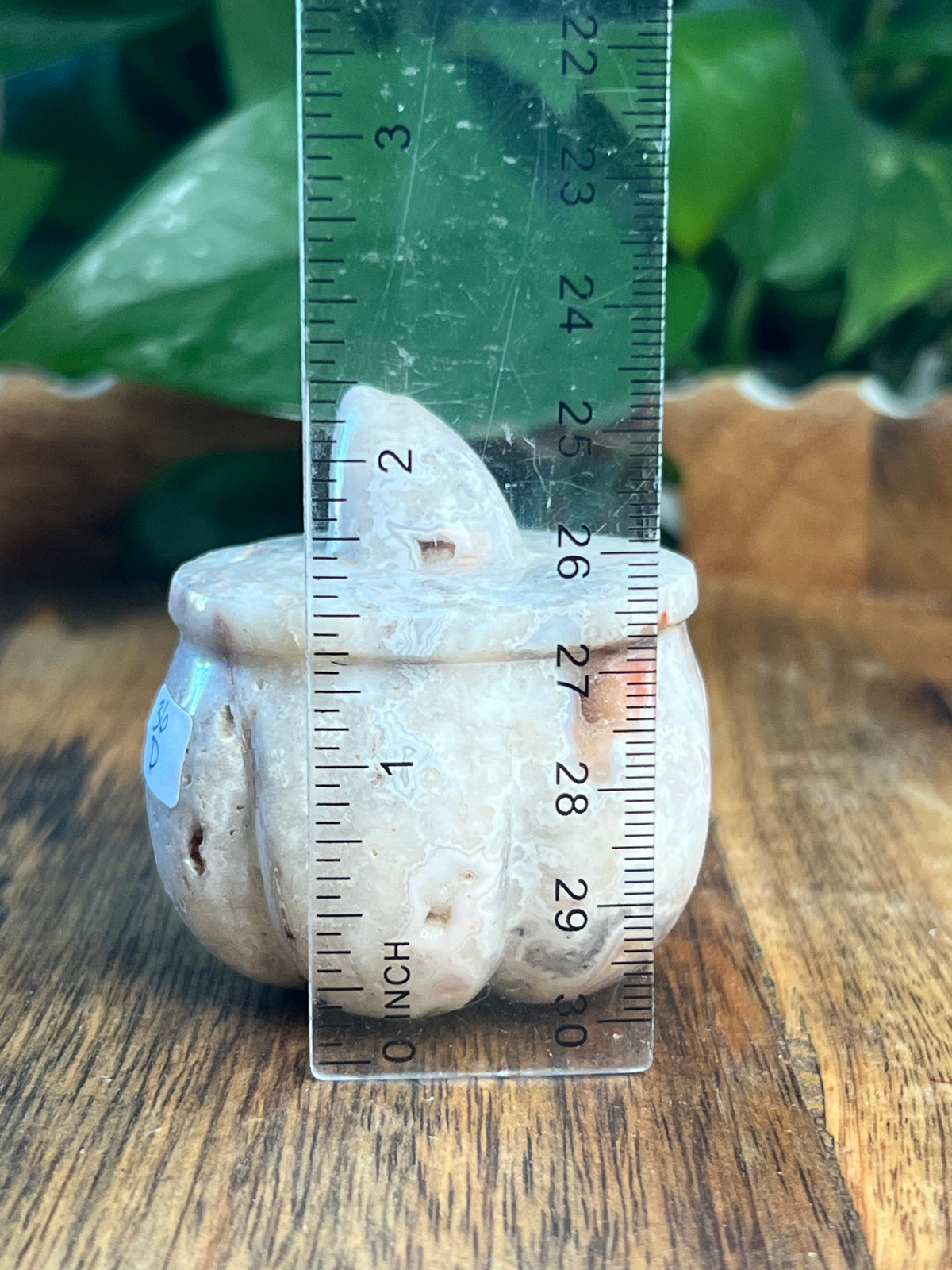 Crazy Lace Agate Pumpkin: D