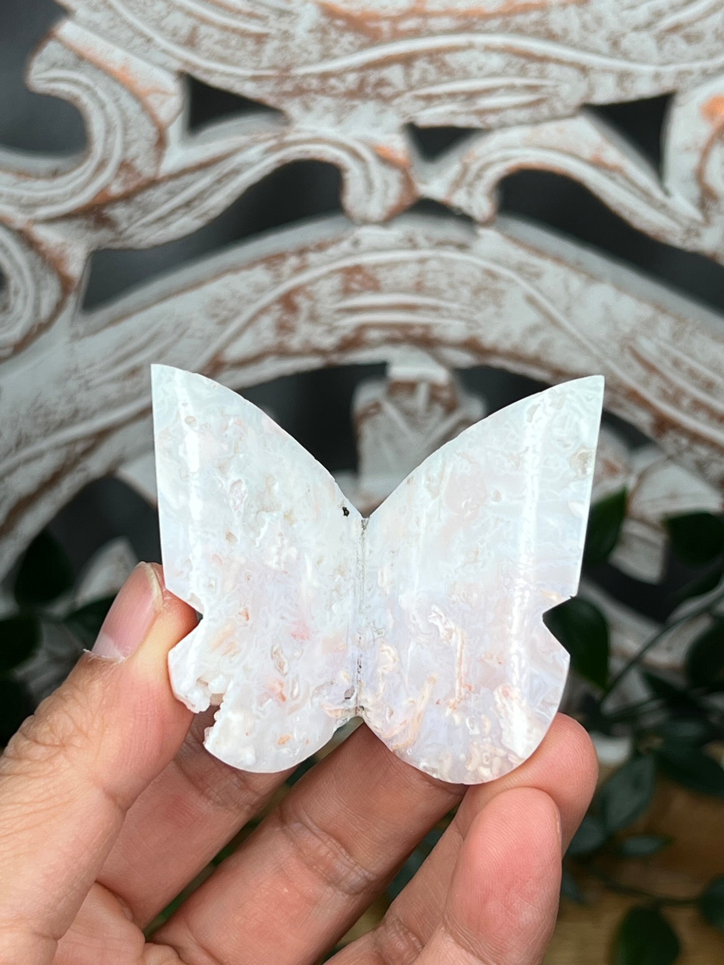 Rainbow Plume Agate 3D Butterfly