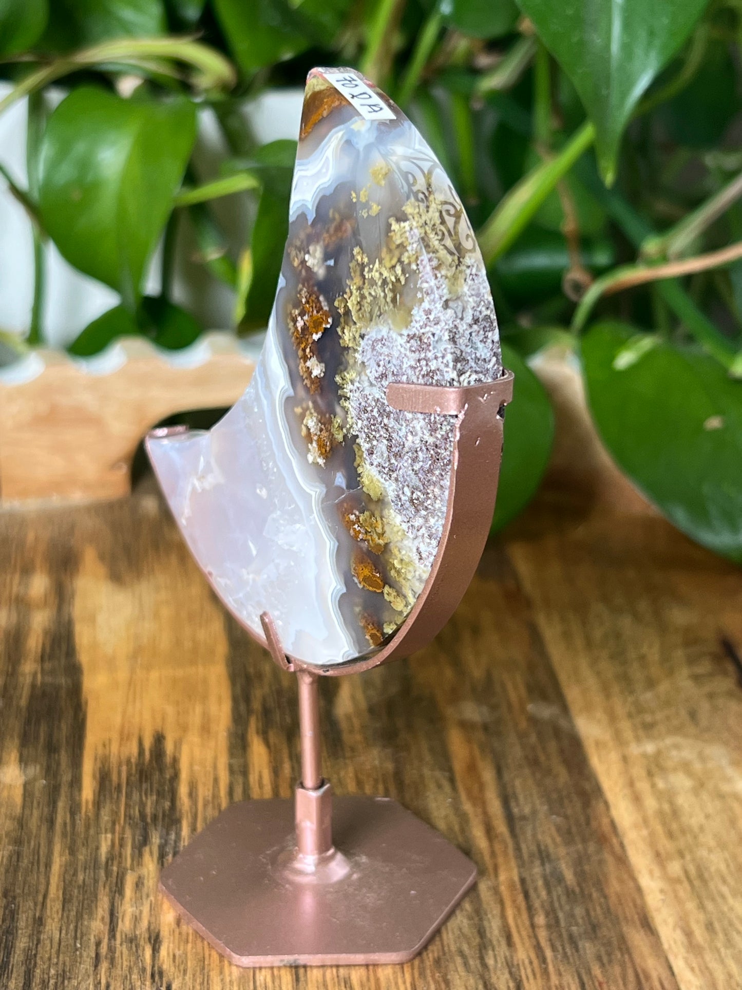 Scenic Moss Agate Moon