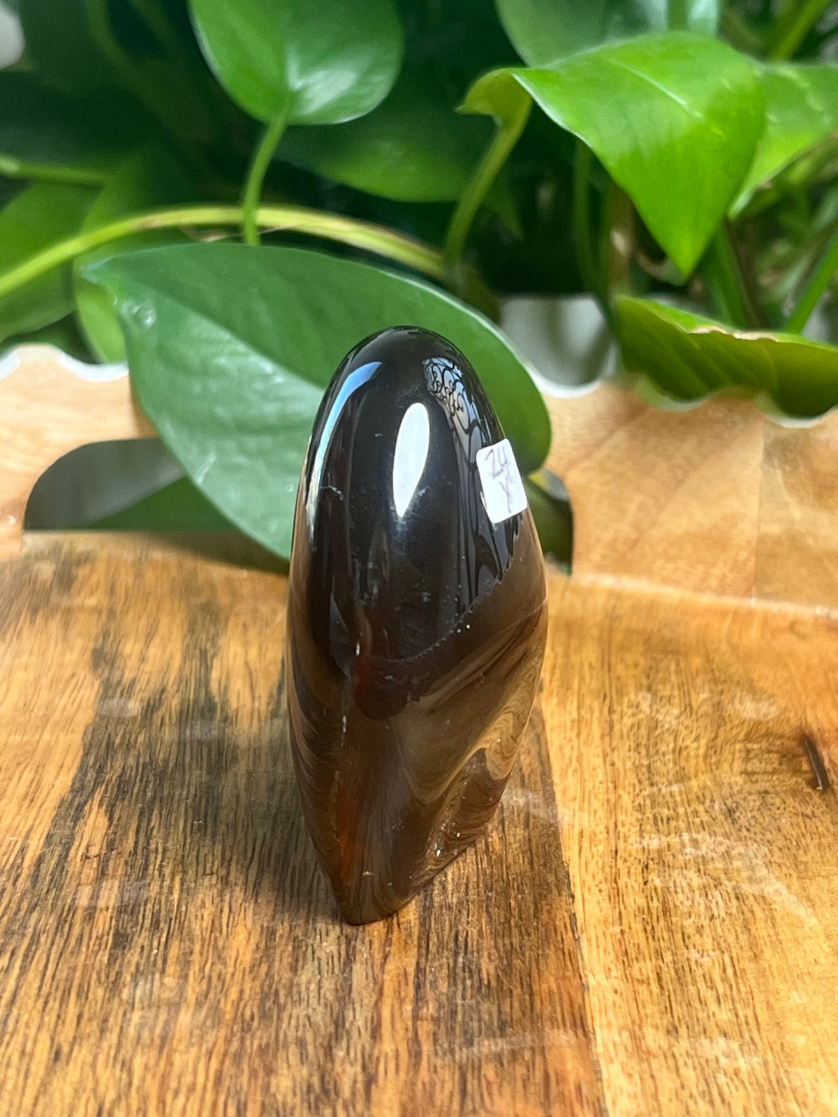 Blue Amber Freeform: Y
