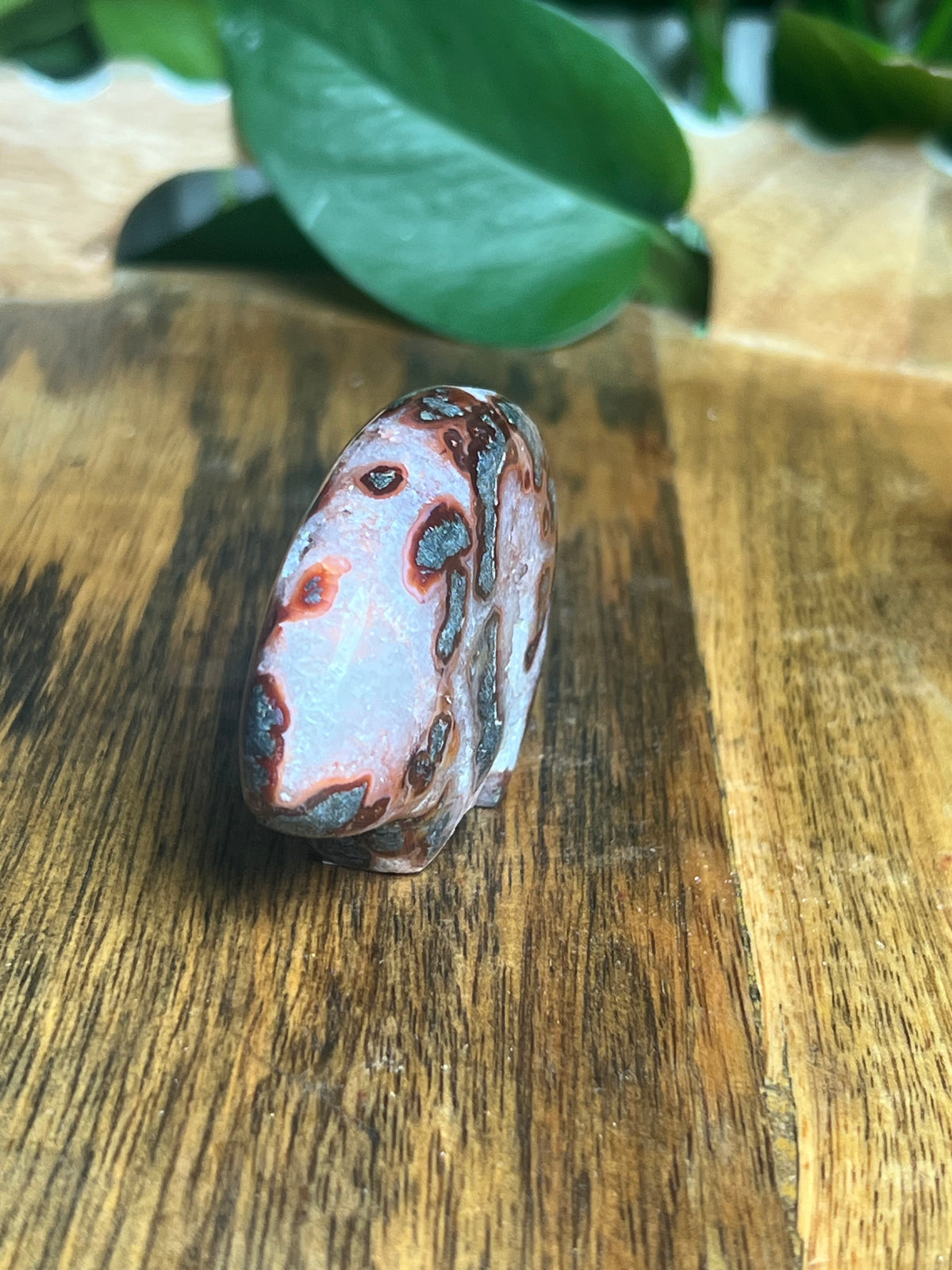 Marcasite Mini Bear: RD