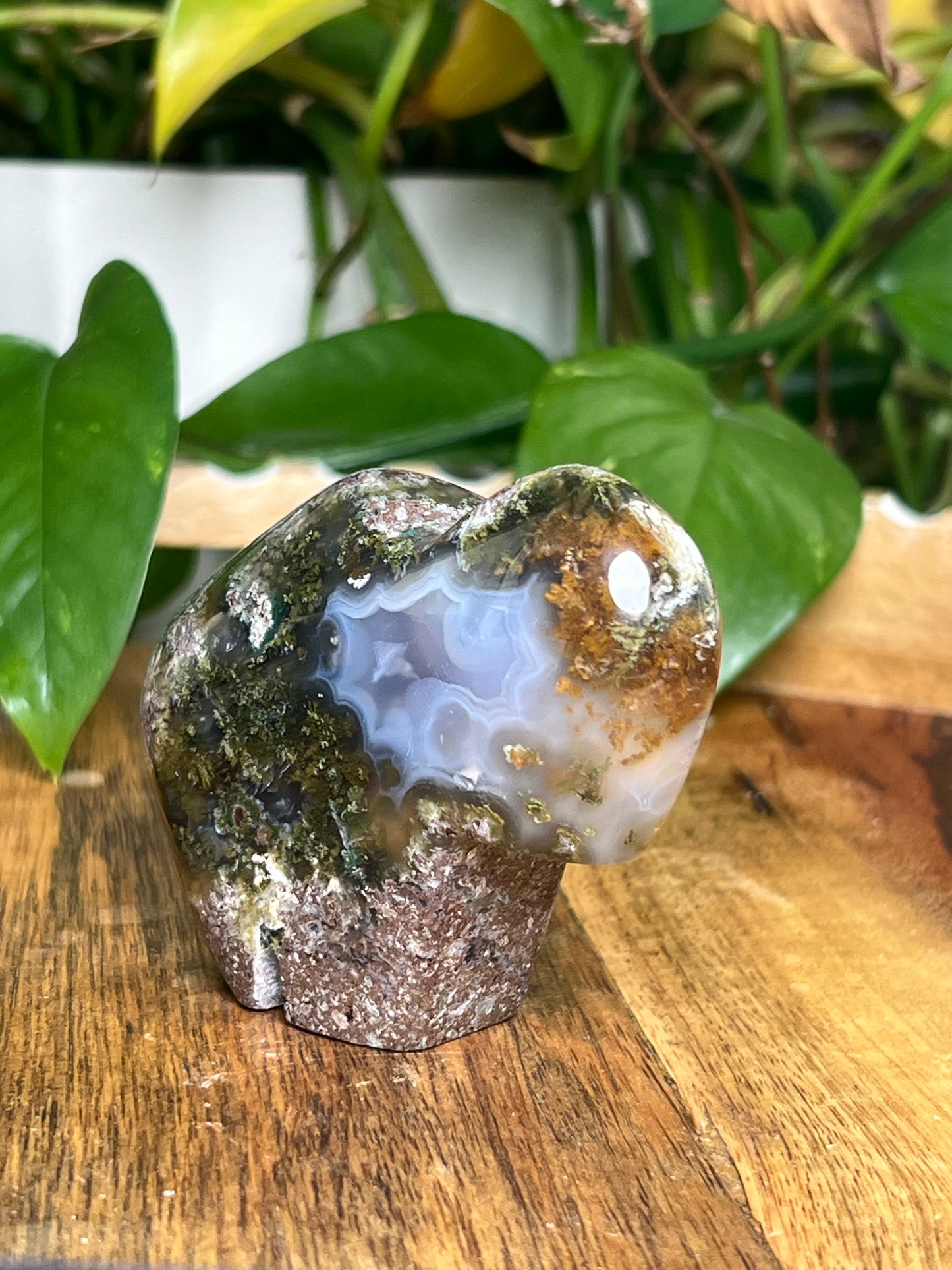 Scenic Moss Agate Buffalo NB