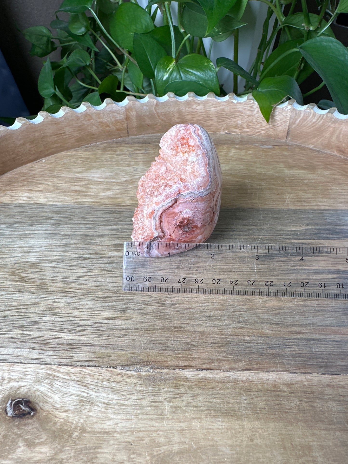 Crazy Lace Agate Freeform