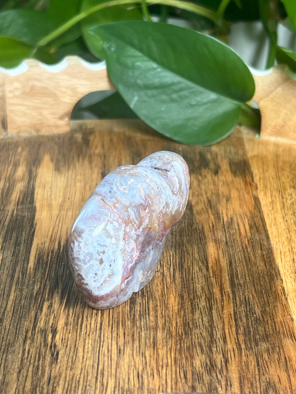 Sumatra Plume Agate Mini Buffalo: DC
