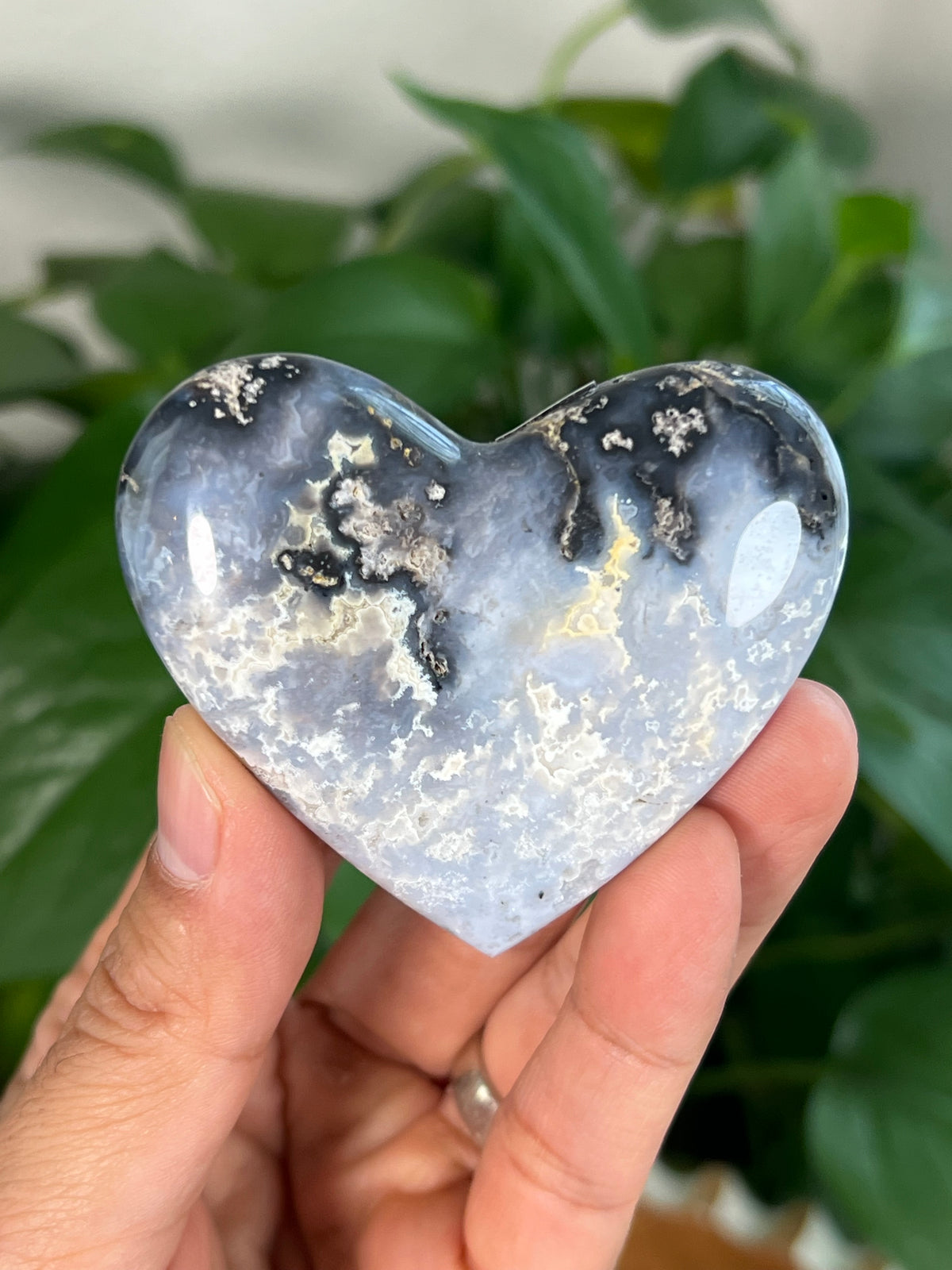 Blue Plume Agate Small Hearts