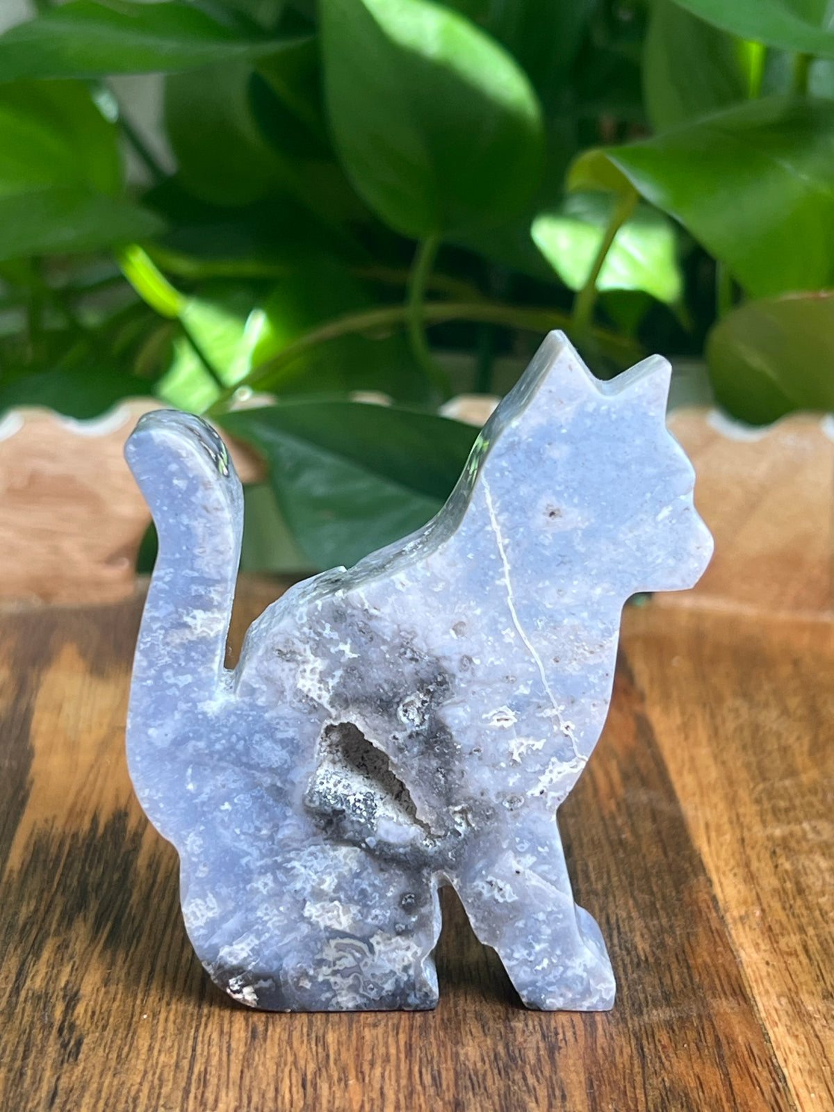 Blue Plume Agate Cat: AG