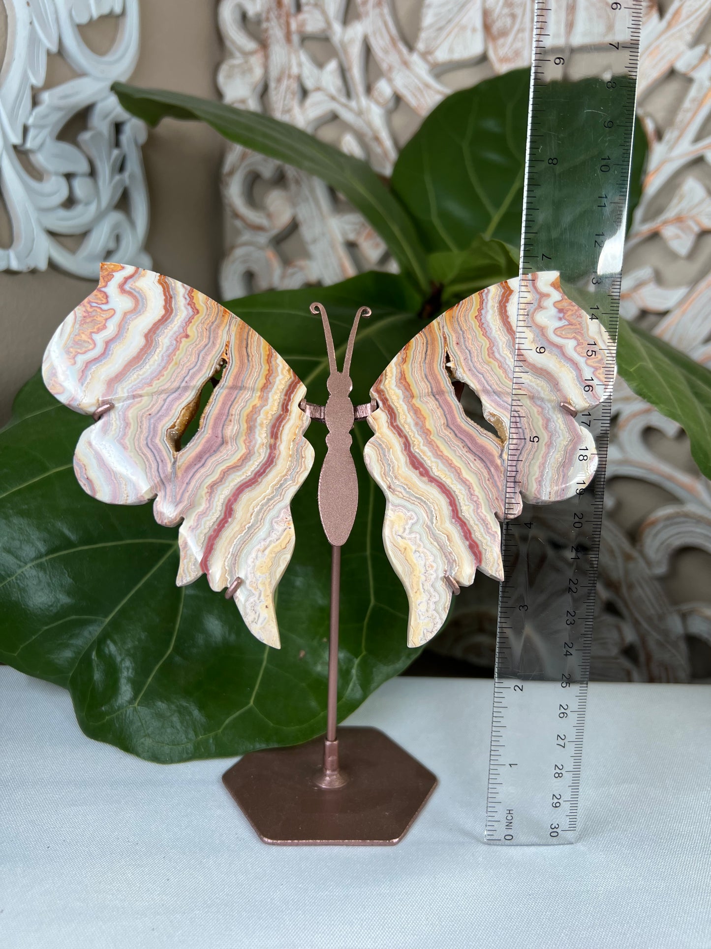 Crazy Lace Agate Wings