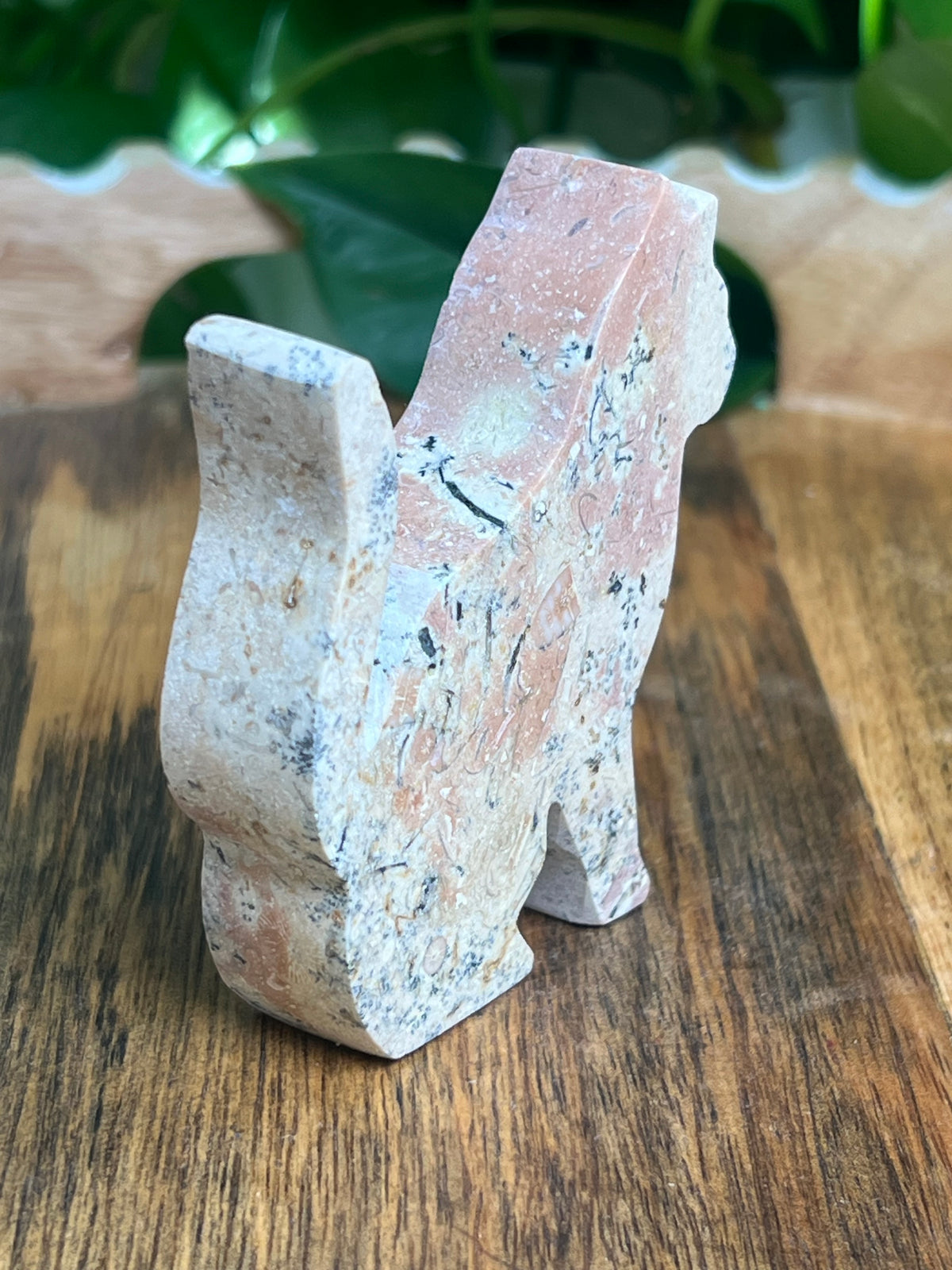 Dendritic Jasper Cat: KC