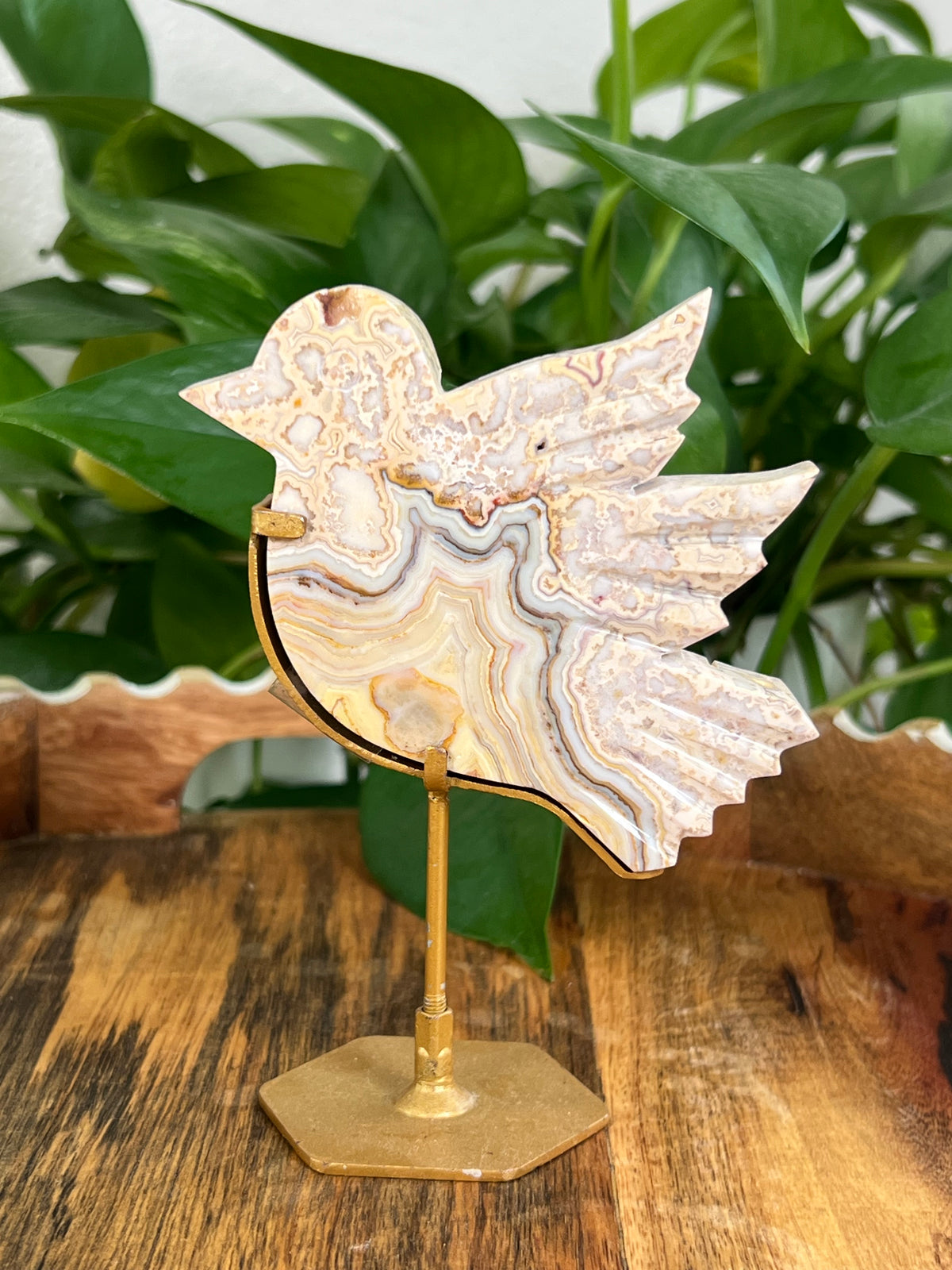 Crazy Lace Agate Birds