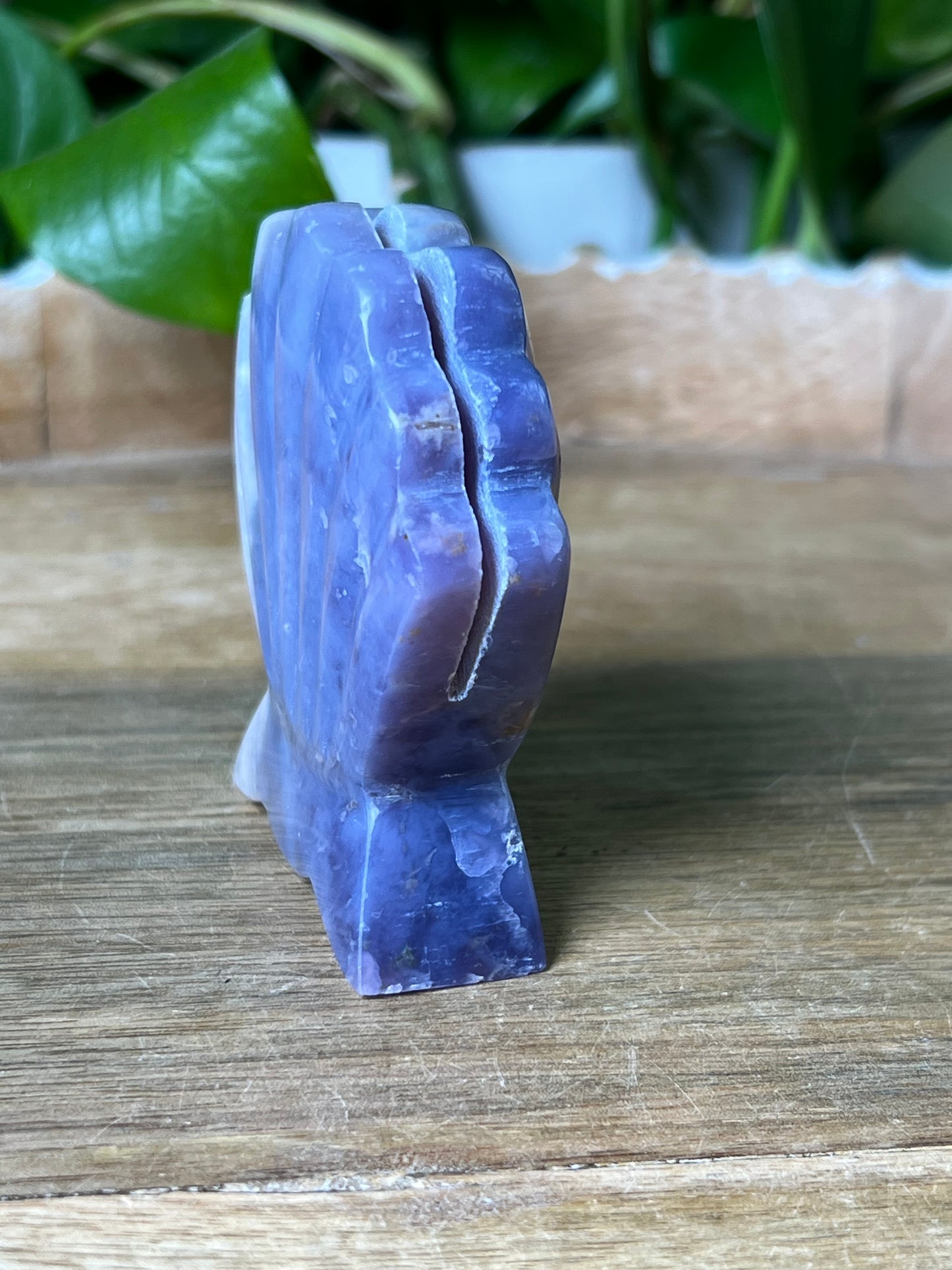 Purple Chalcedony Shell