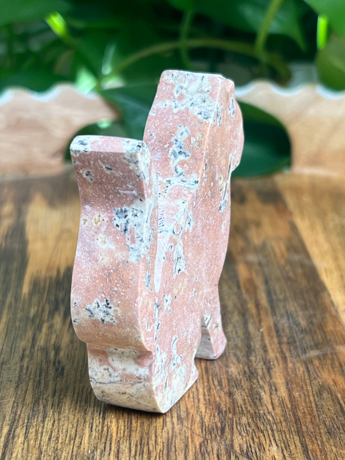 Dendritic Jasper Cat: KA