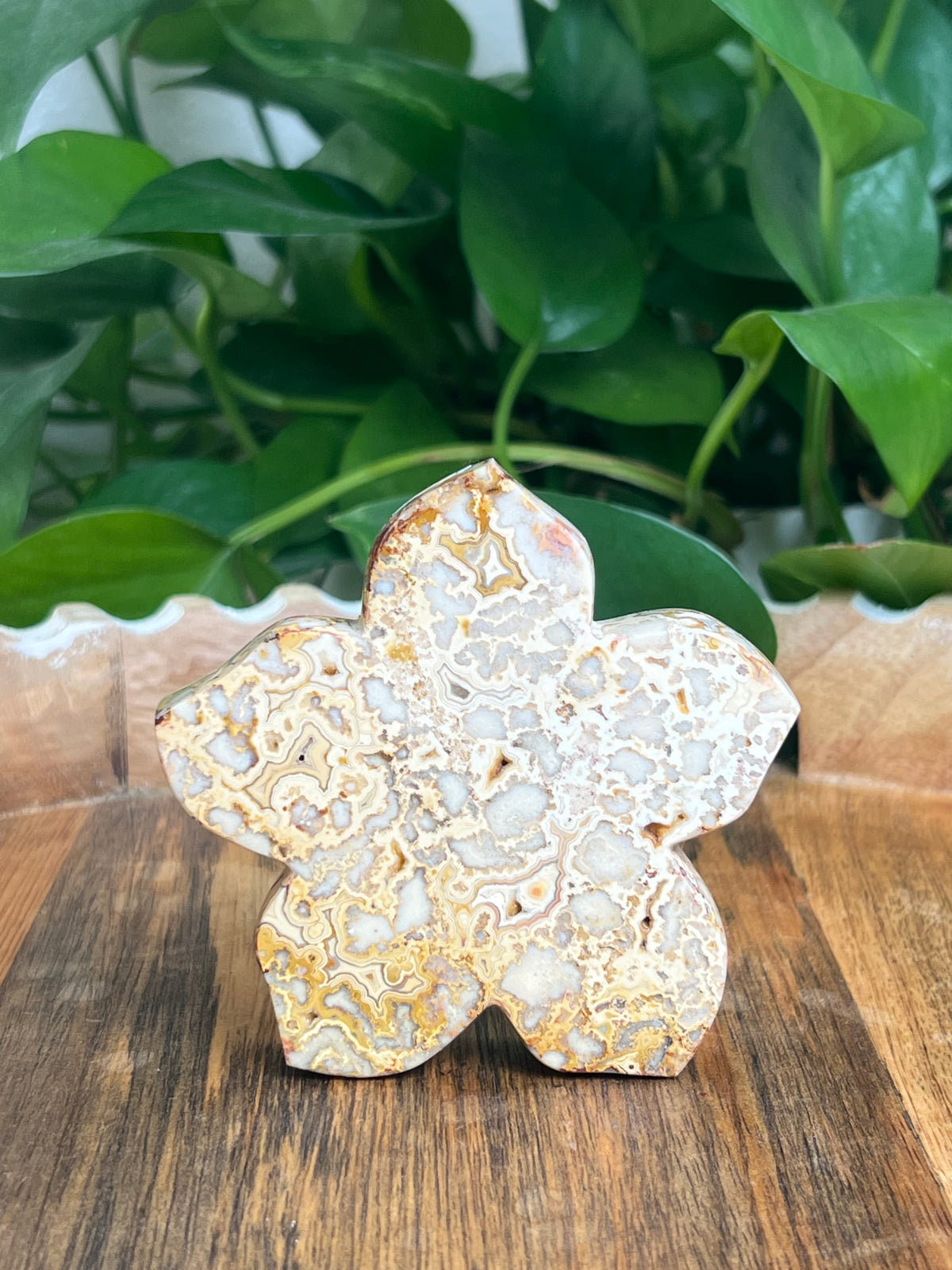 Crazy Lace Agate Flower: Ei