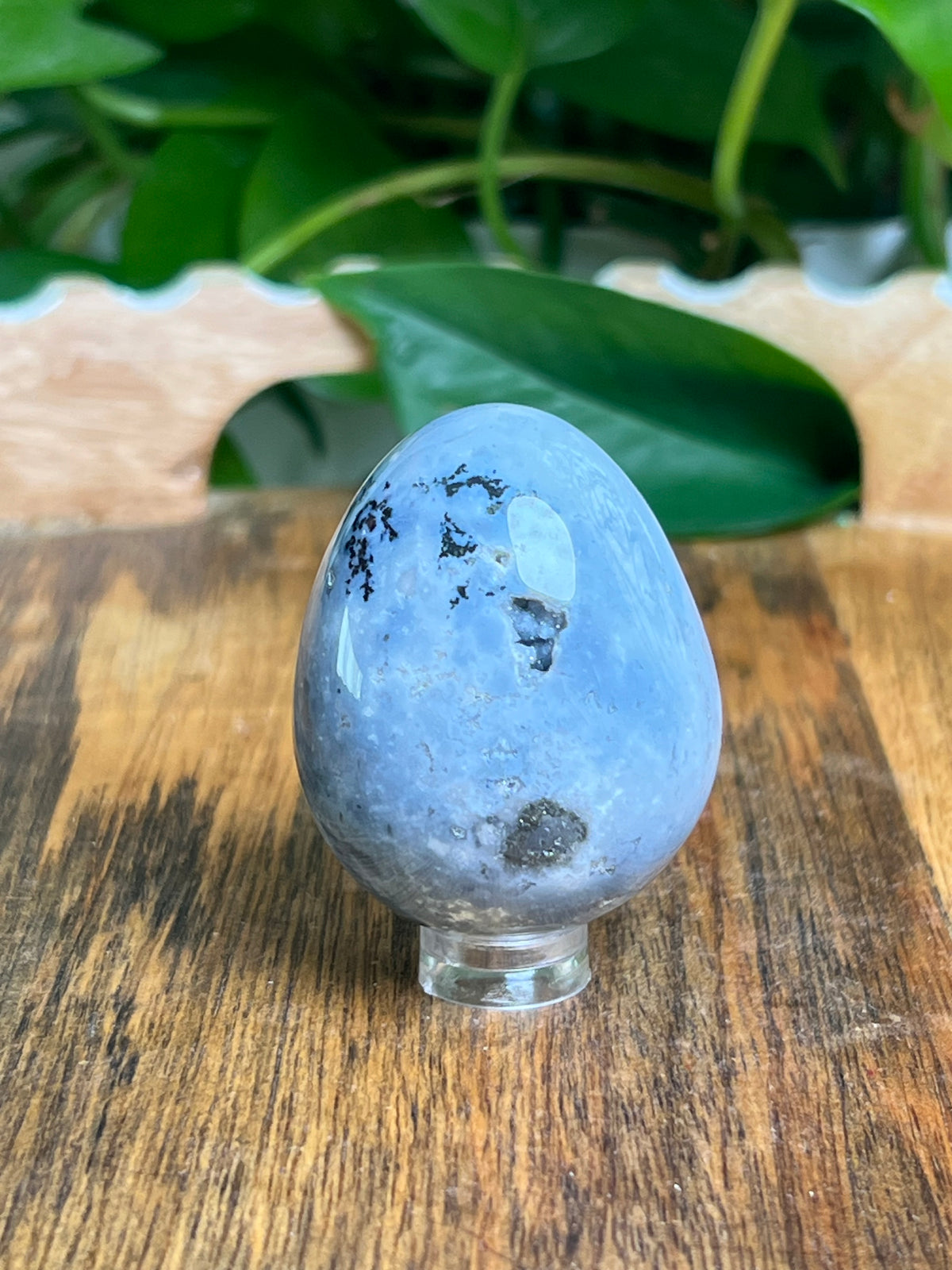 Blue Plume Agate Egg: BB