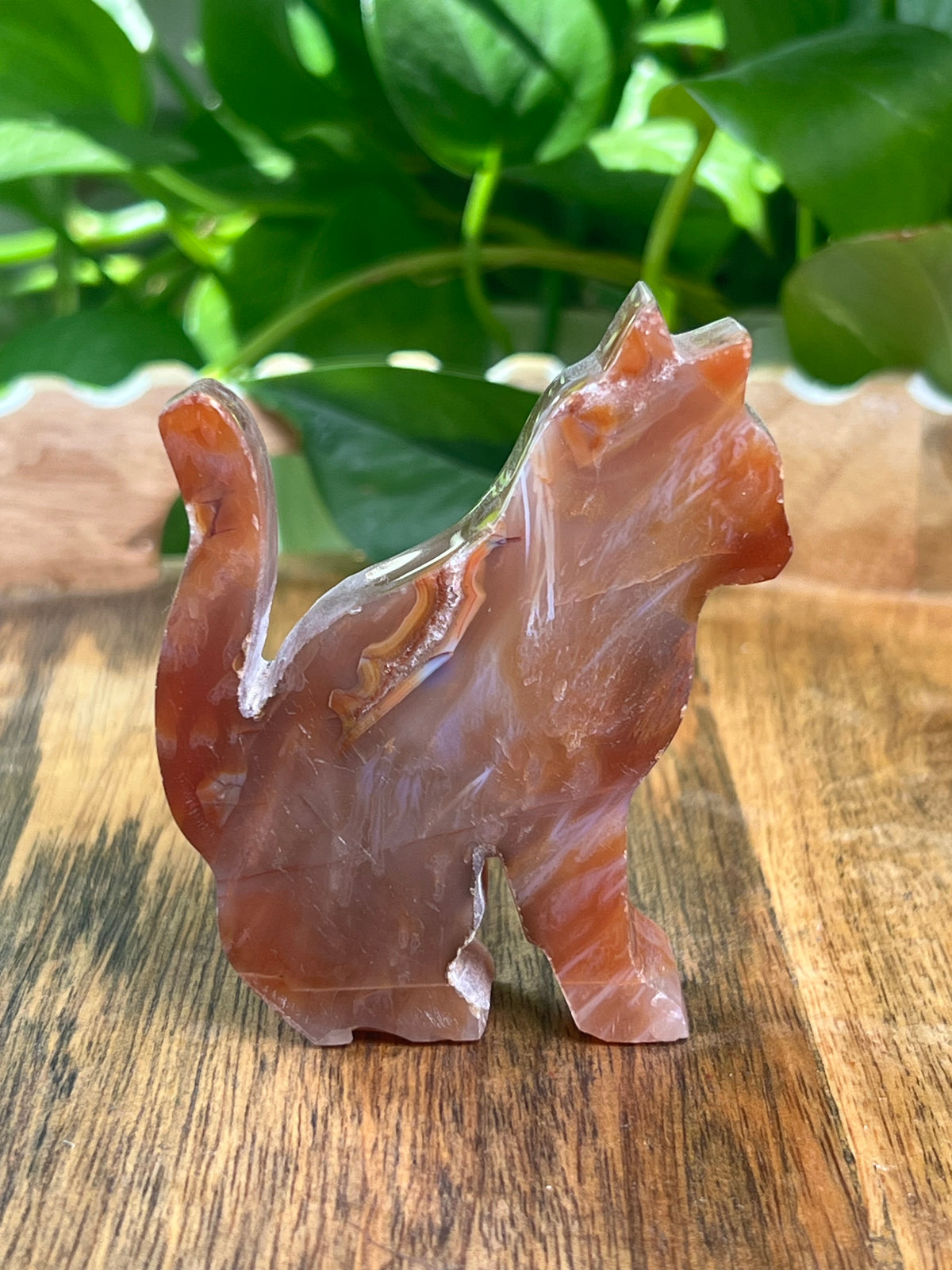 Carnelian Cat: PK