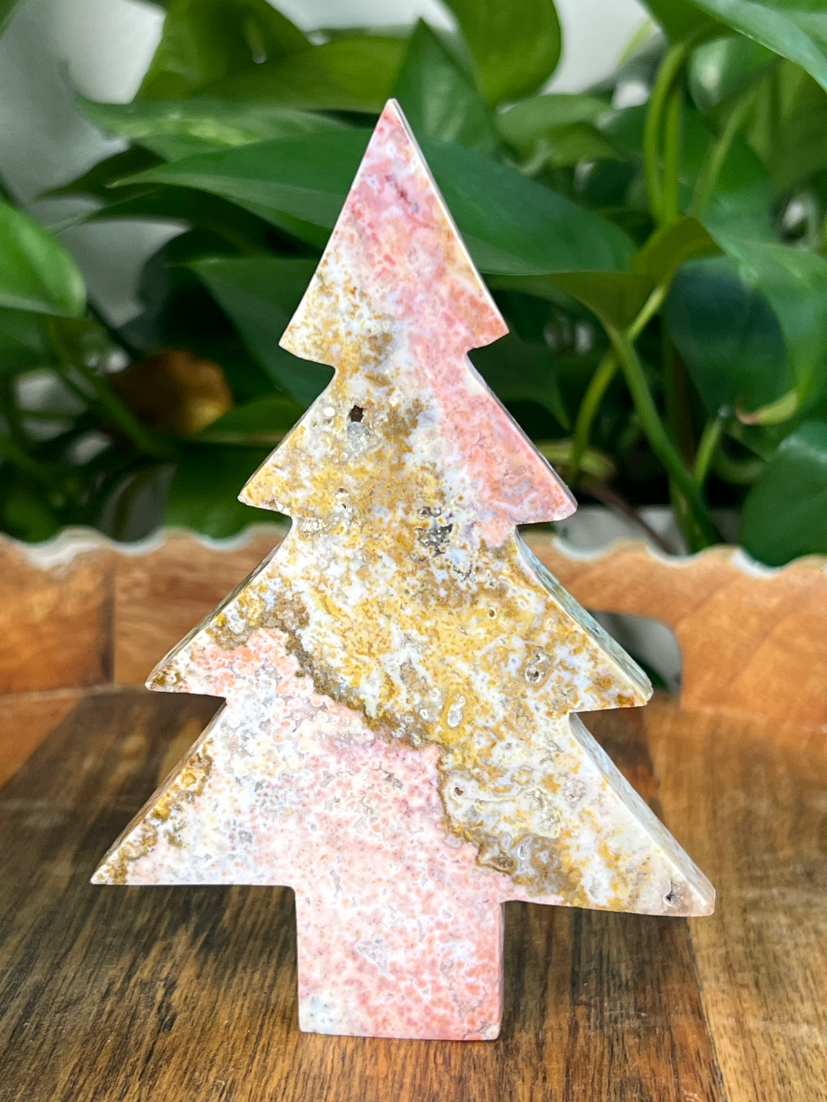 Sea Jasper Tree: AB