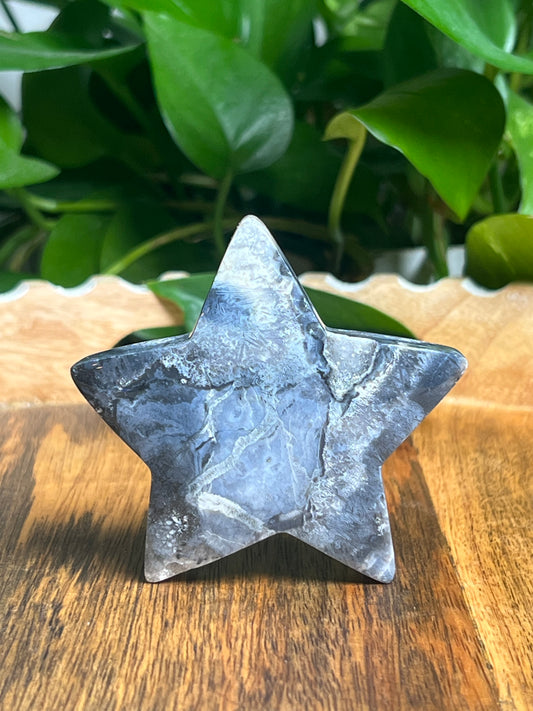 Blue Plume Agate Star: Bi