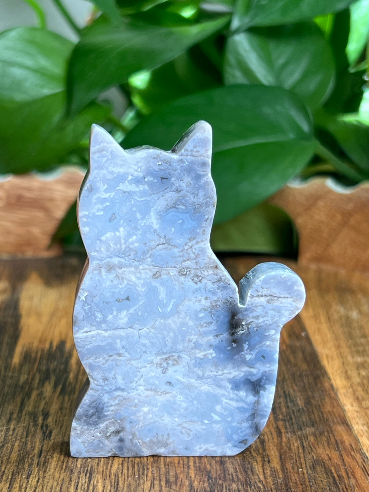 Blue Plume Agate Cat: BH