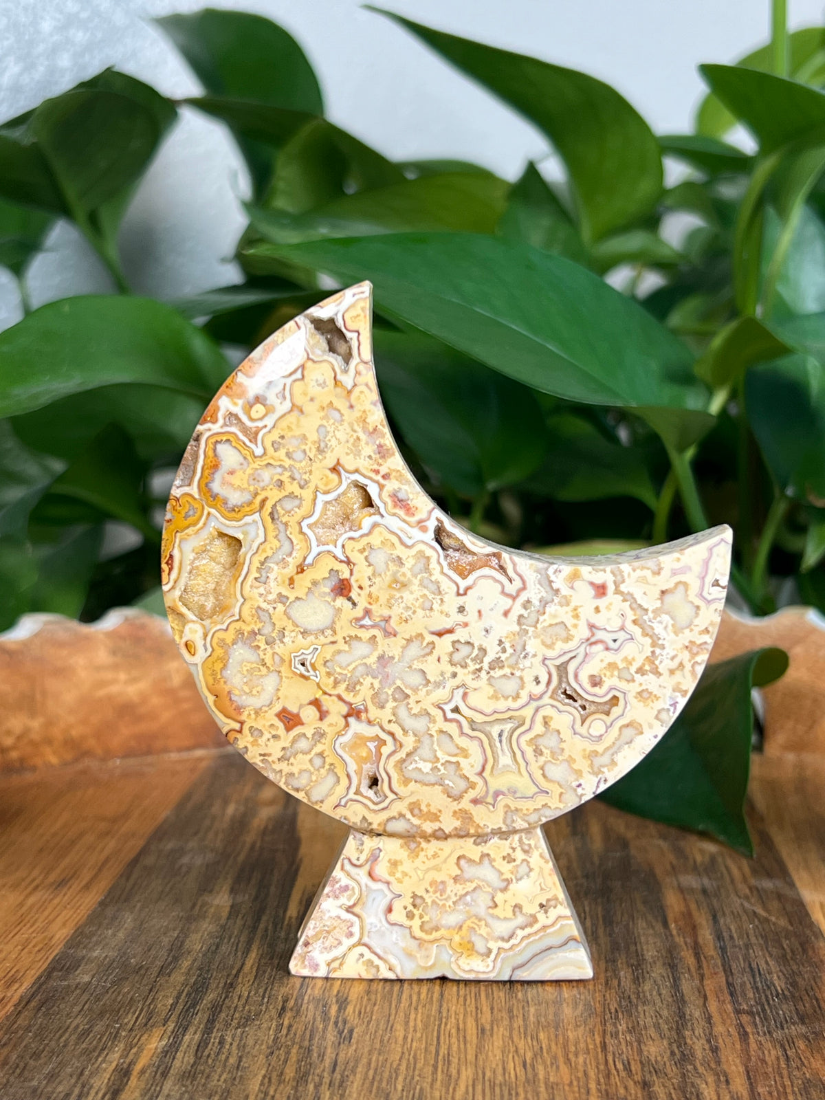Yellow Crazy Lace Agate Self Standing Moons