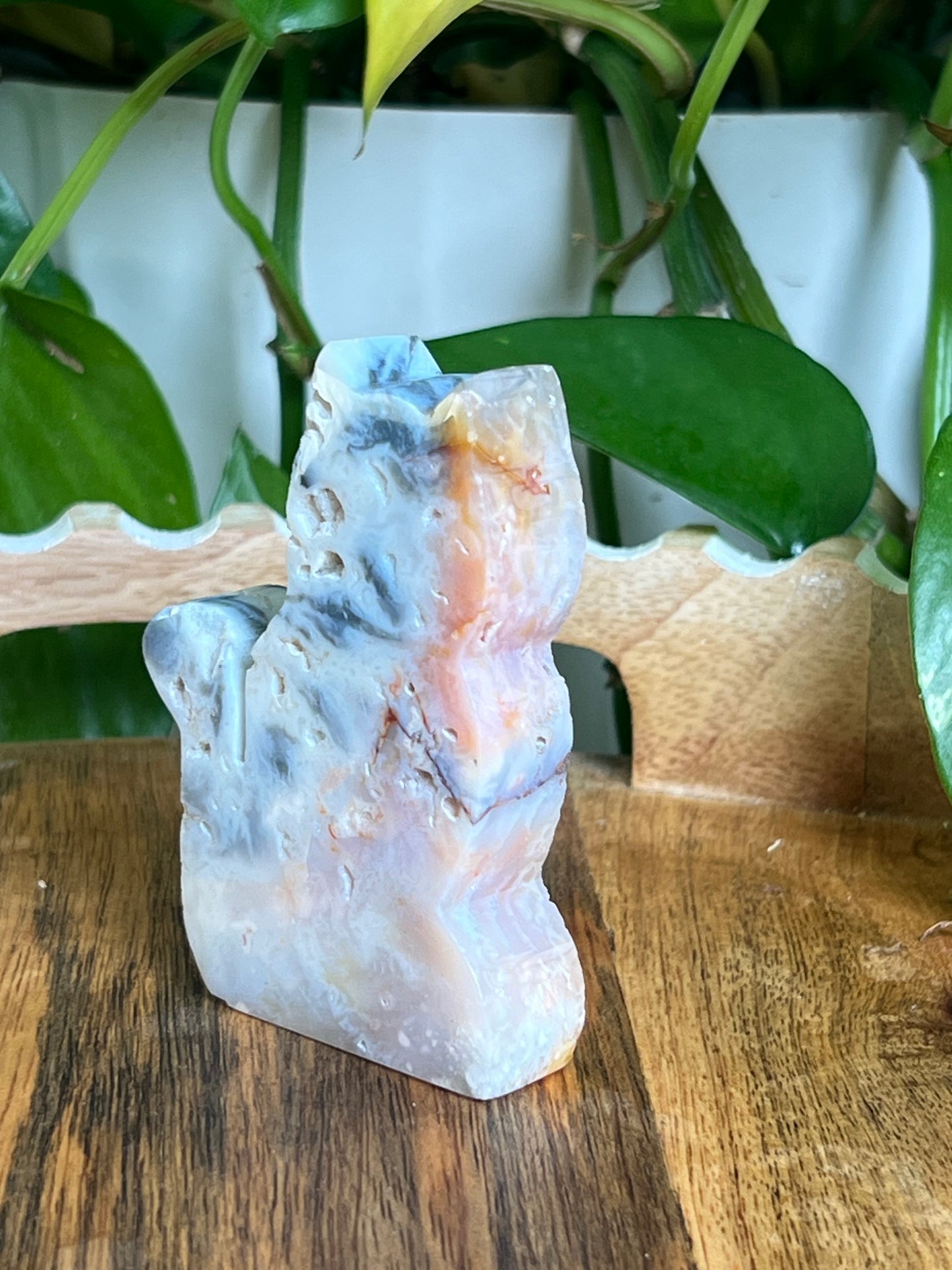 Rainbow Plume Agate Cat NC