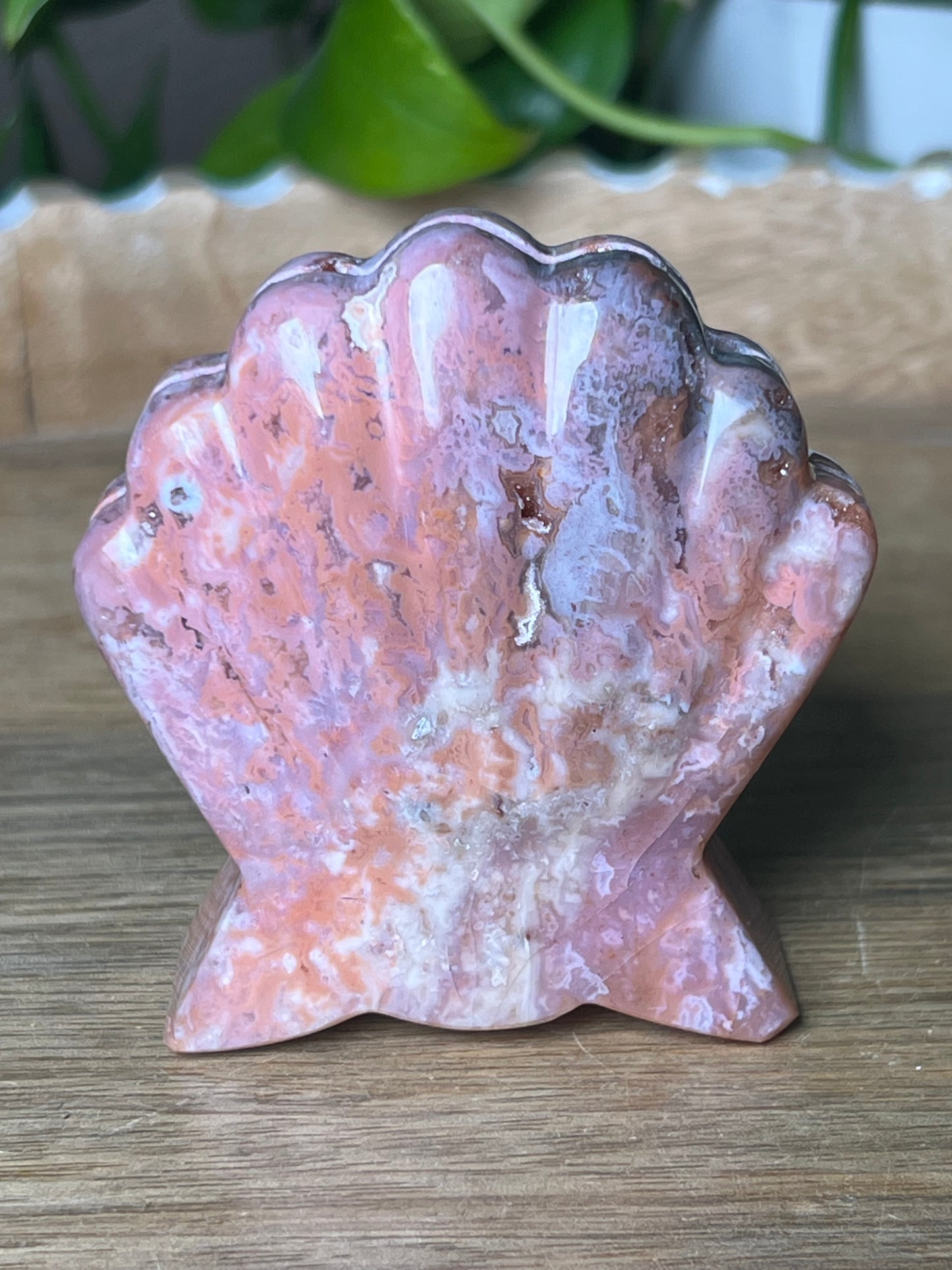 Pink Carnelian Shell