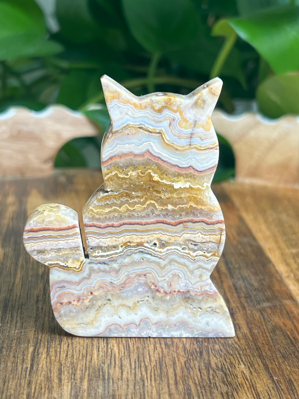 Crazy Lace Agate Cat: QA