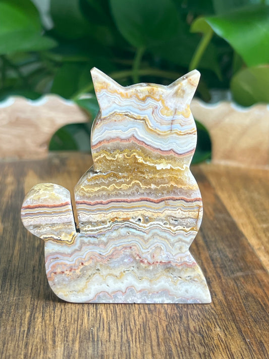 Crazy Lace Agate Cat: QA