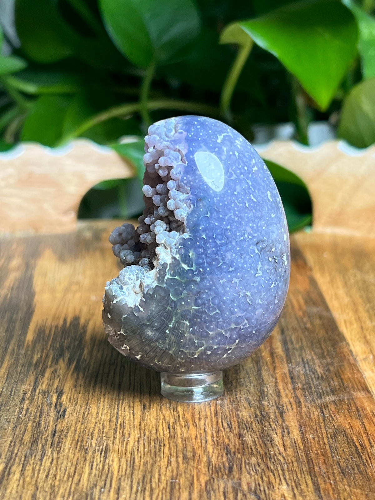 Grape Agate Egg: NC