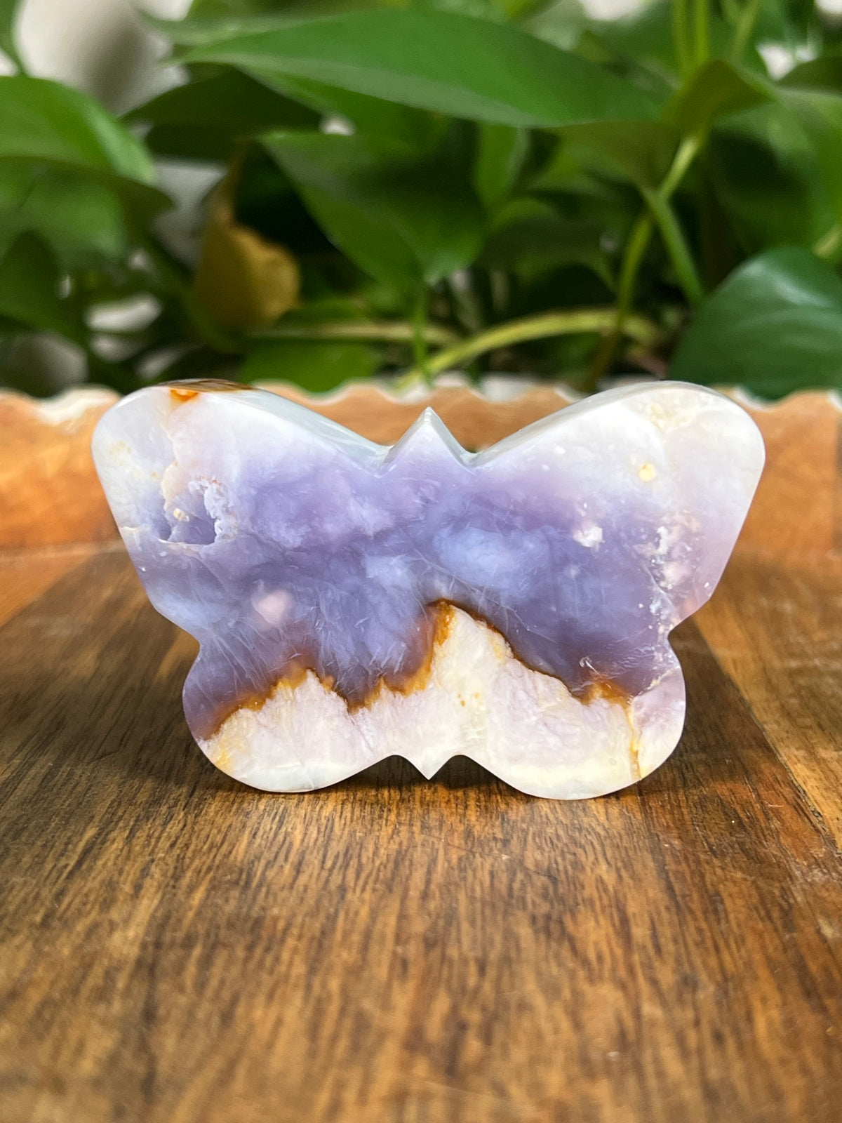 Purple Chalcedony Butterflies