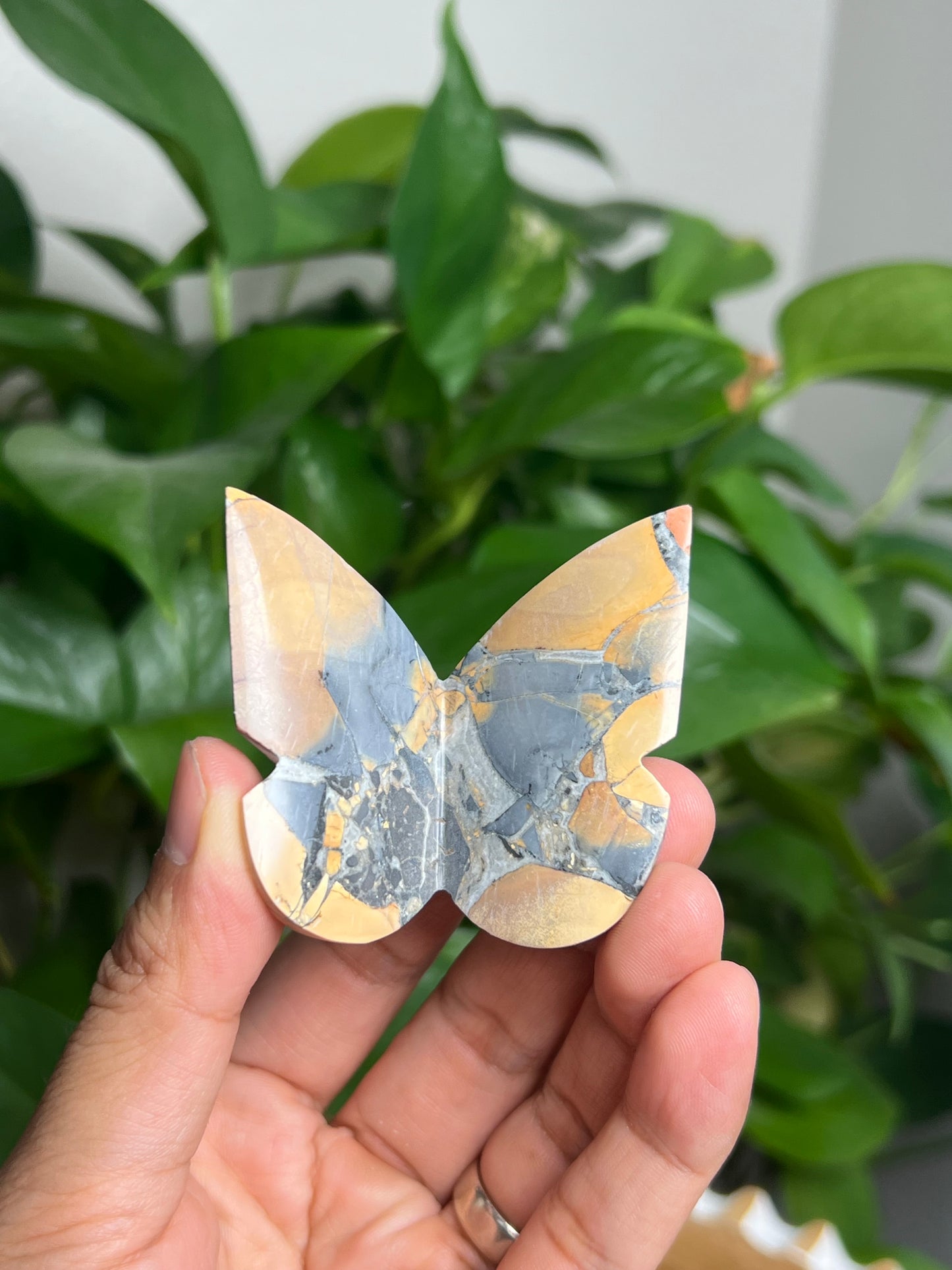 Maligano 3D Butterfly: AA