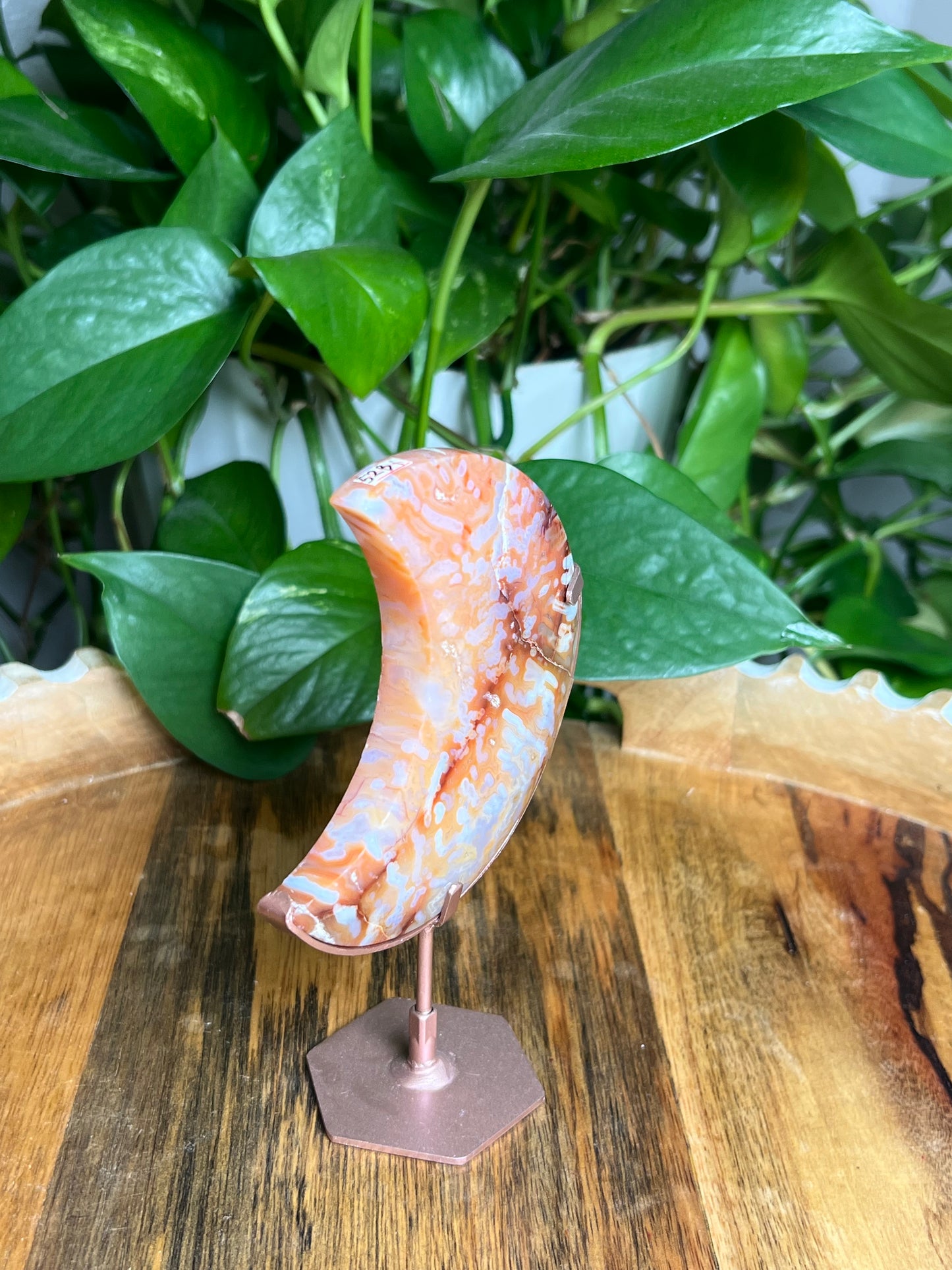 Carnelian Moon: Bi