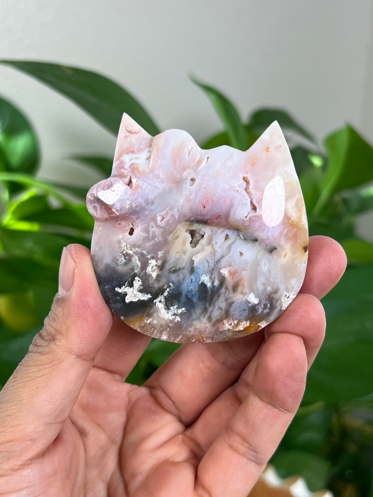 Rainbow Plume Agate Cat Heads