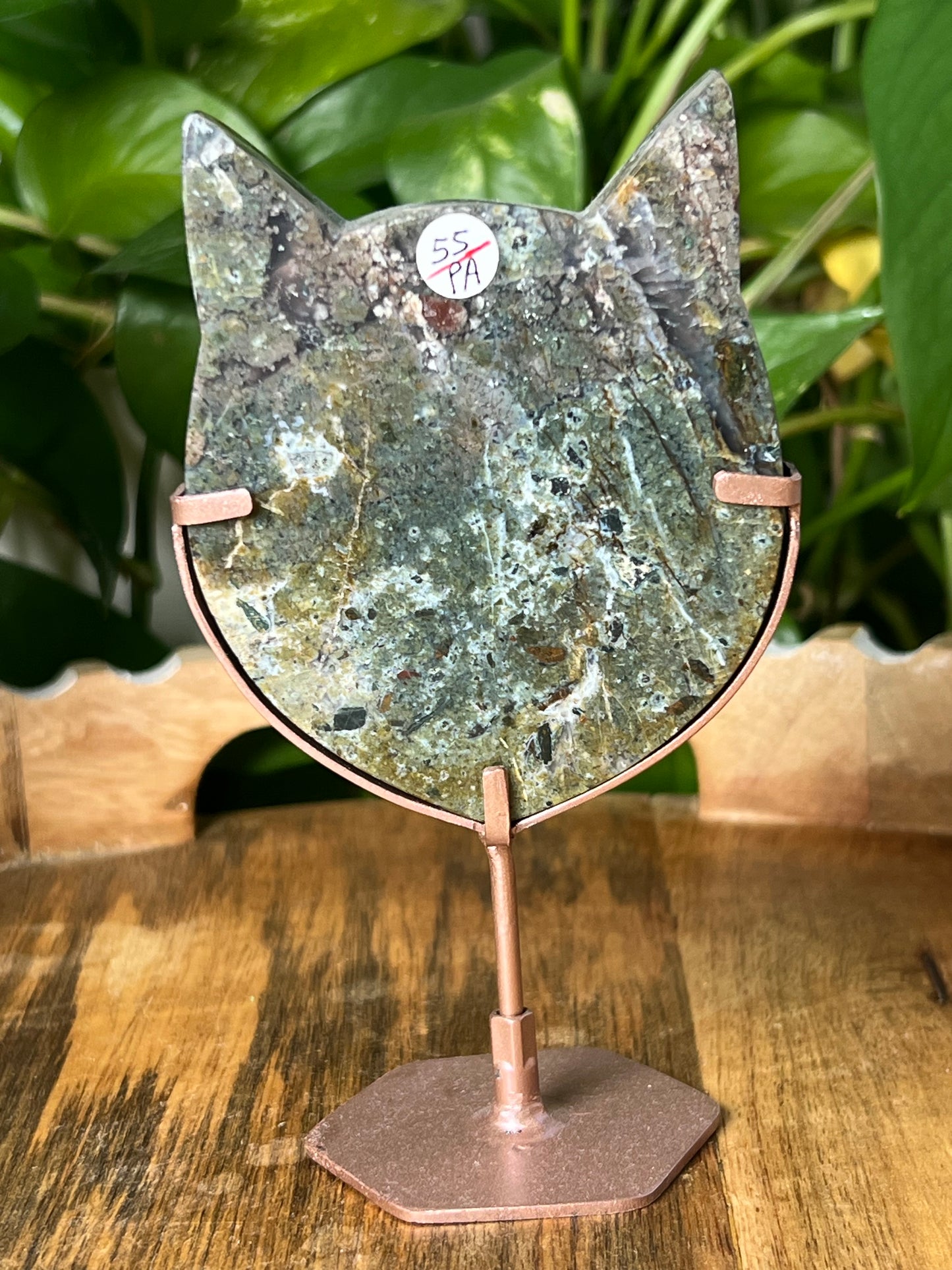 Mossy Jasper Cat