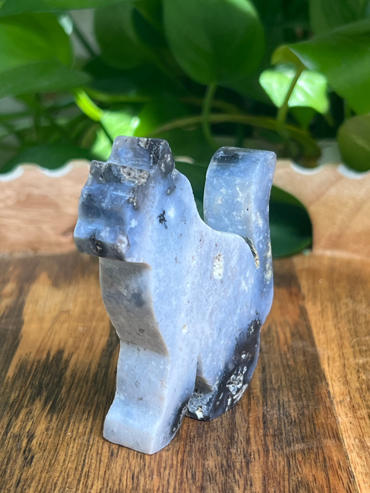 Blue Plume Agate Cat: AC