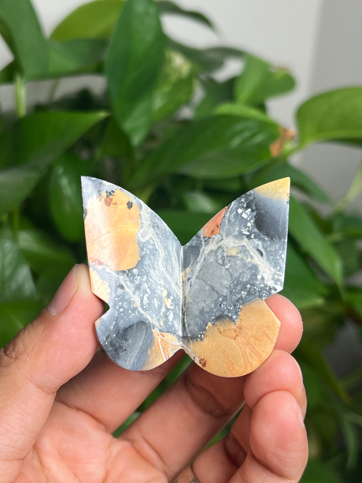 Maligano 3D Butterfly: AP
