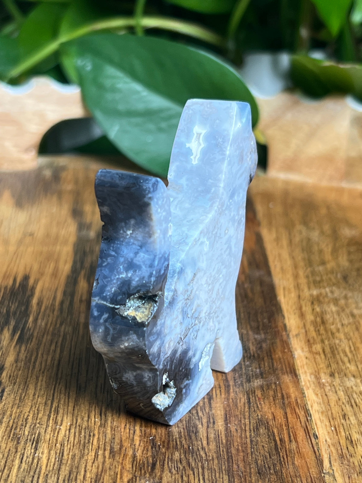 Blue Plume Agate Cat: LD