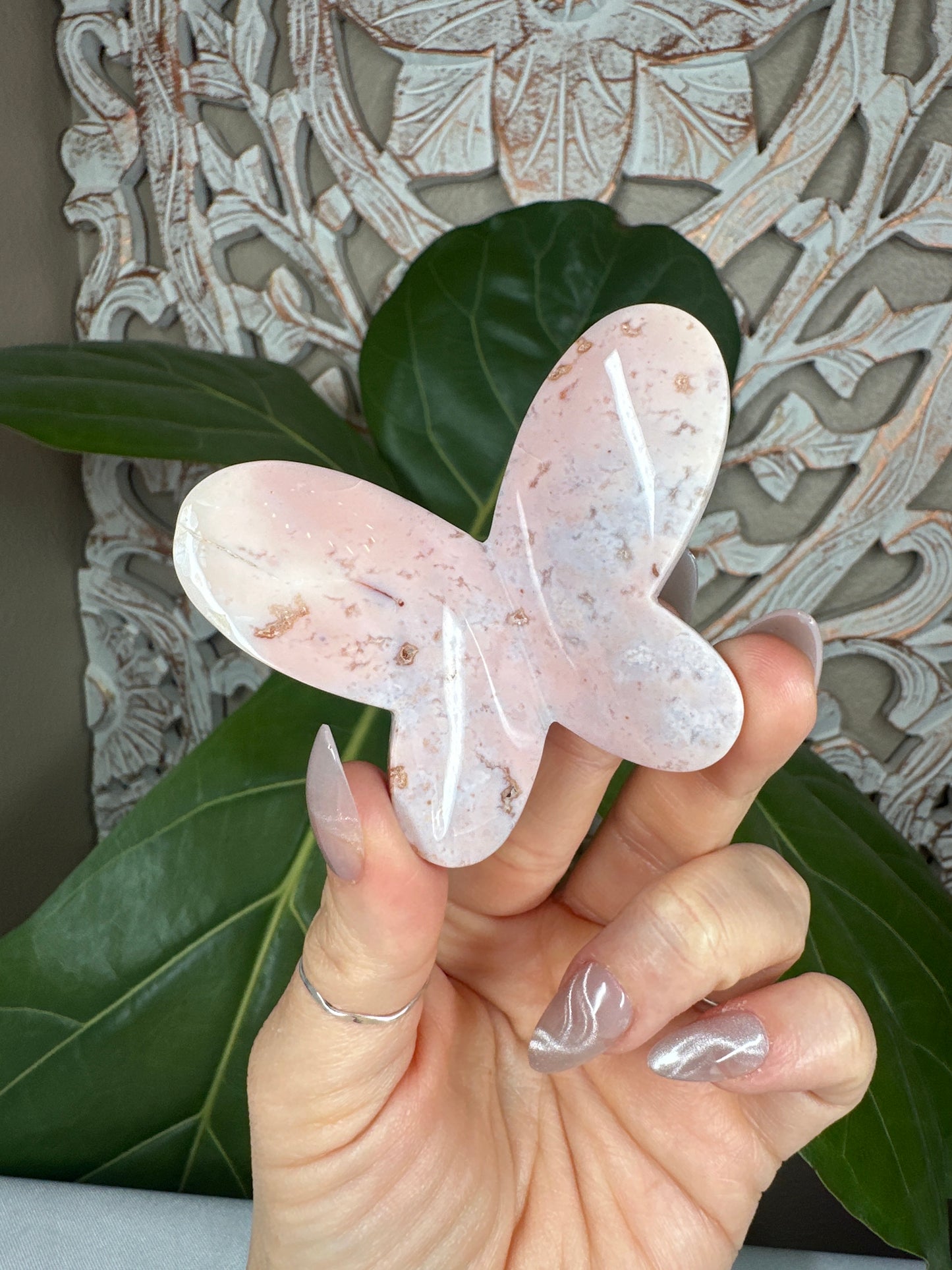 BUTTERFLY MYSTERY BOX