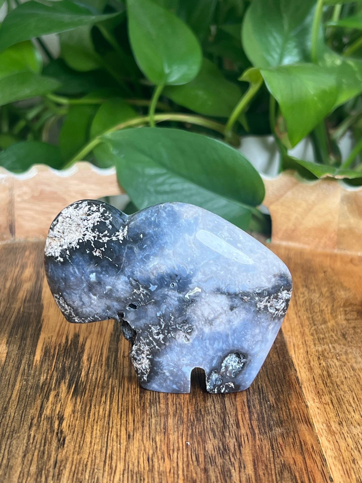 Blue Plume Agate Buffalo: BC