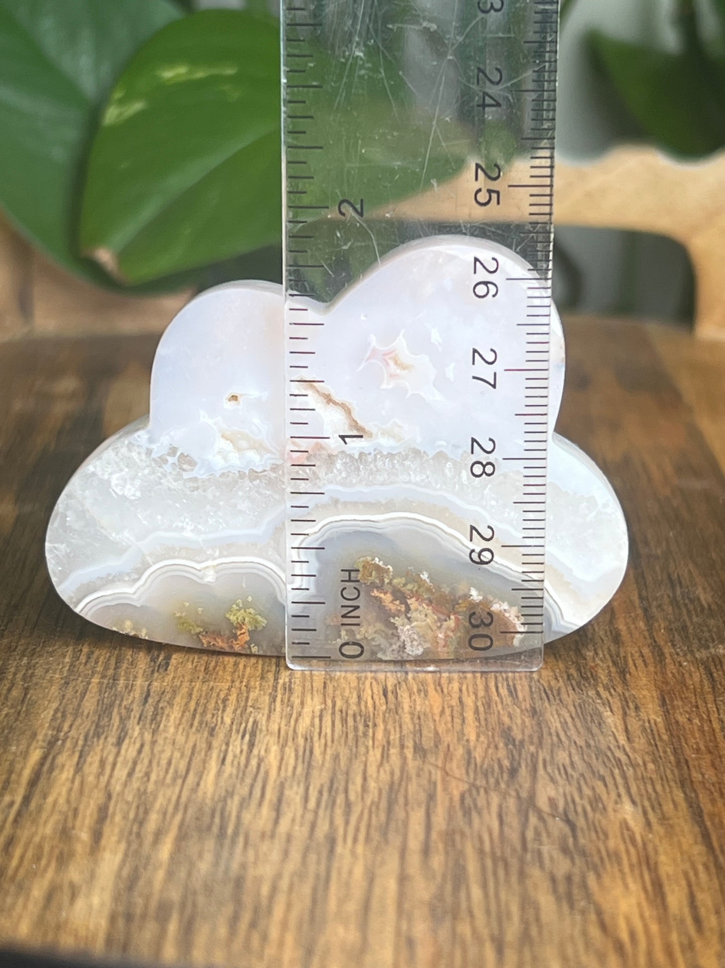 Scenic Moss Agate Cloud: HG