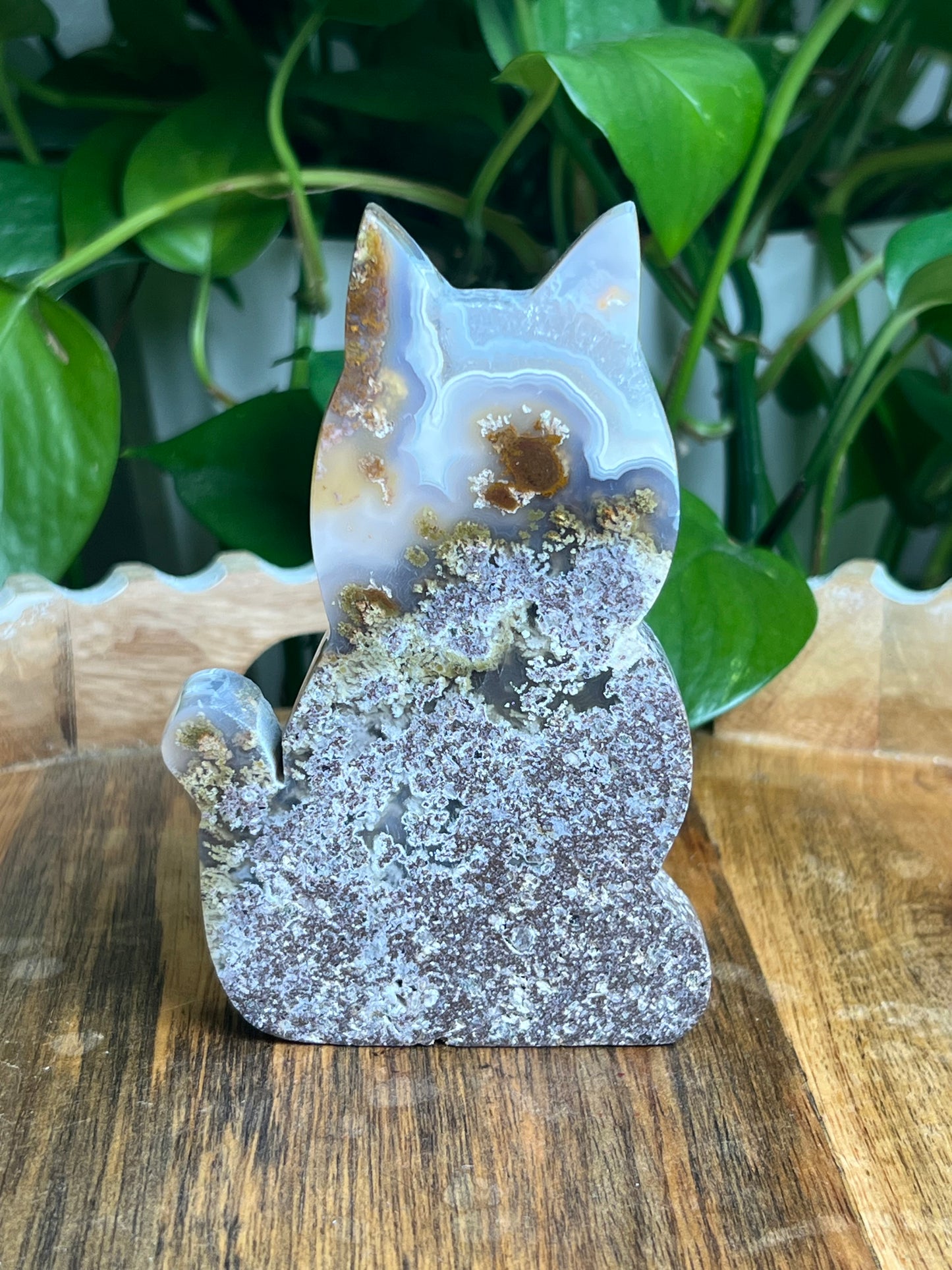 Scenic Moss Agate Cat: AE
