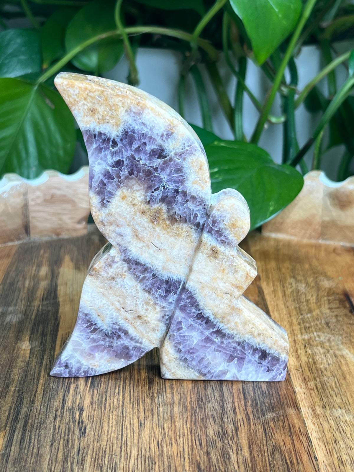 Indonesian Amethyst Fairy: SA