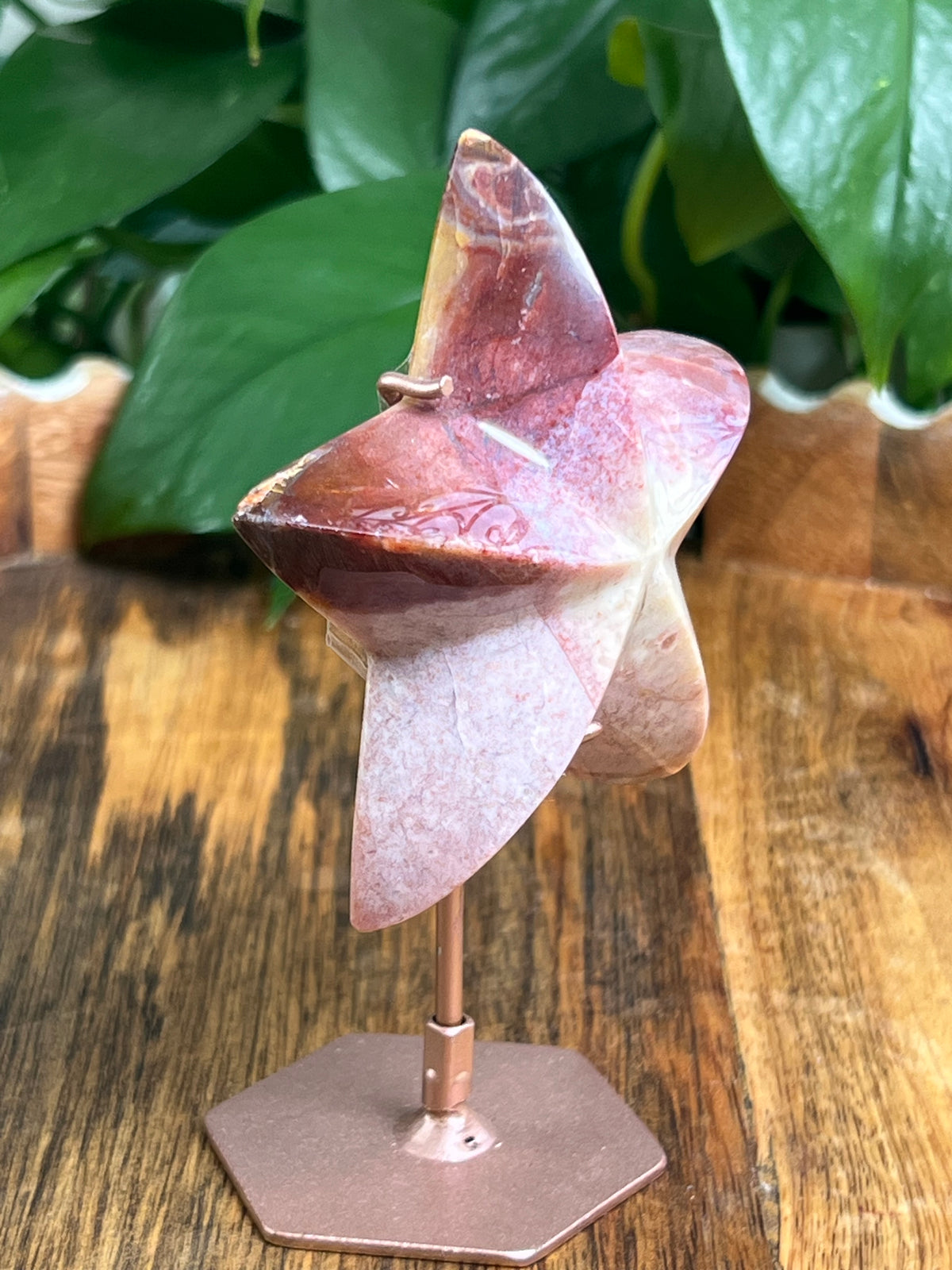 River Jasper Star: Bi
