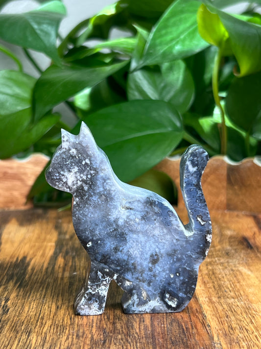 Blue Plume Agate Cat: LF