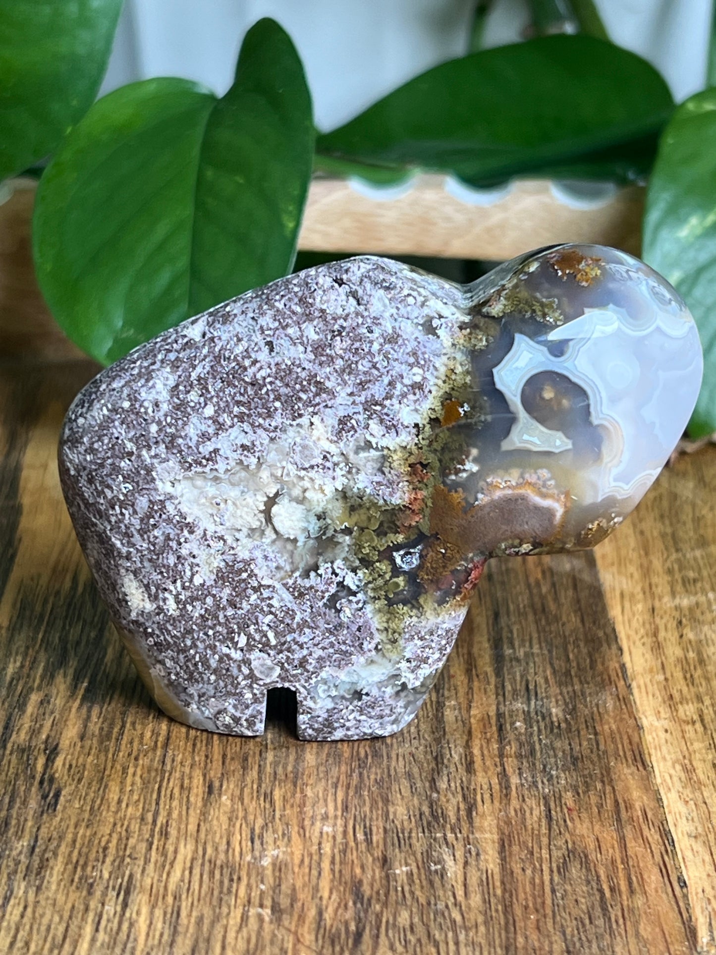 Scenic Moss Agate Buffalo ME