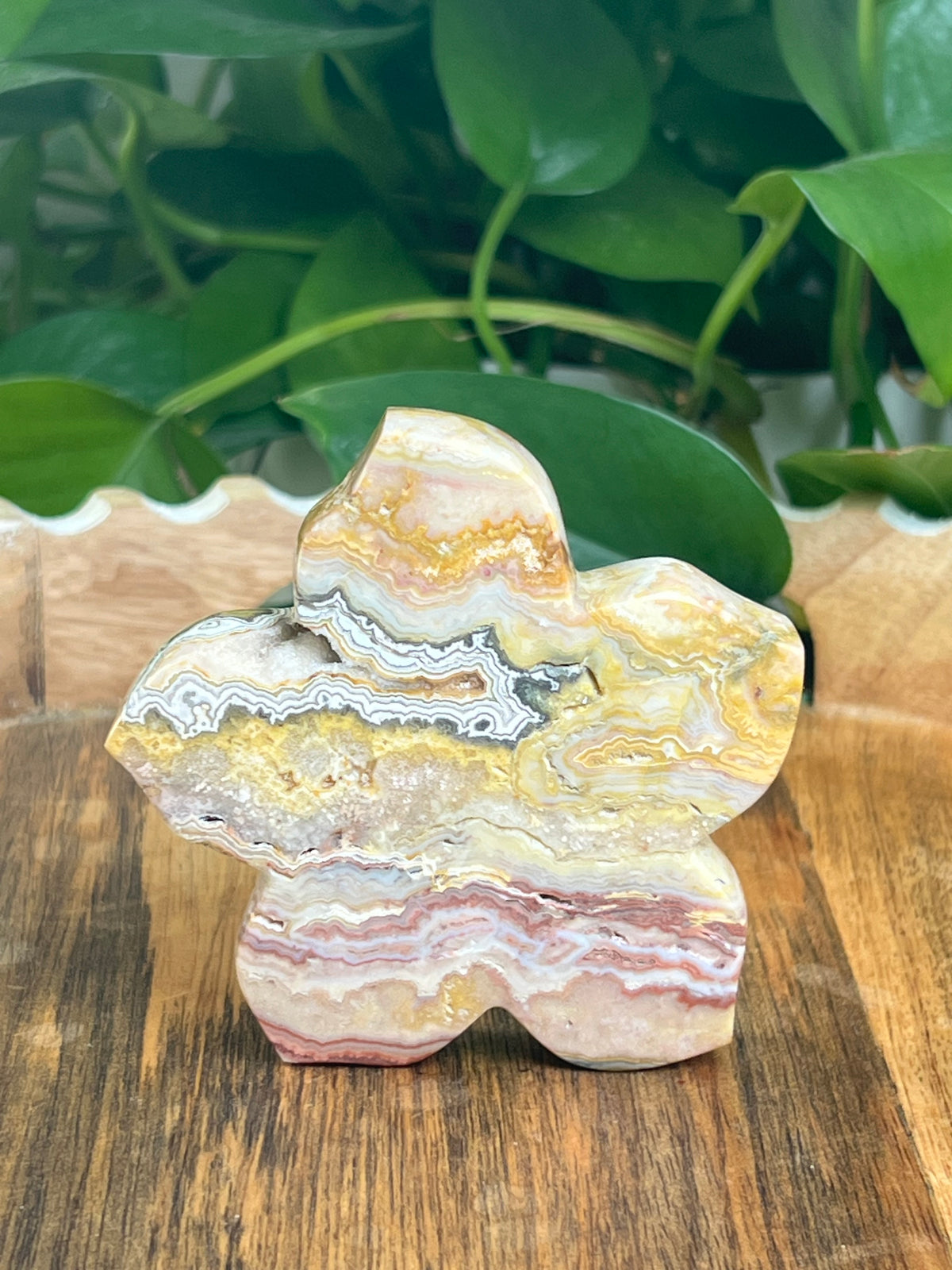 Crazy Lace Agate Flower: CE