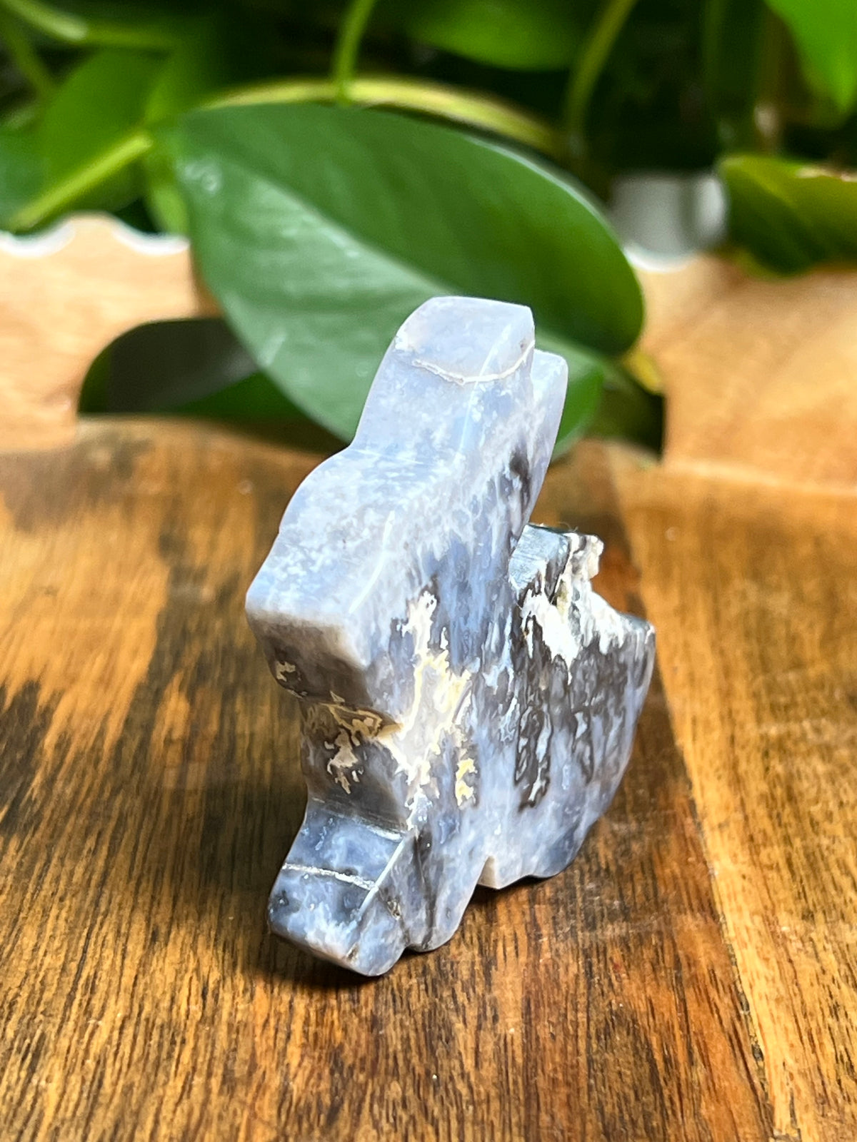 Blue Plume Agate Bunny: PE